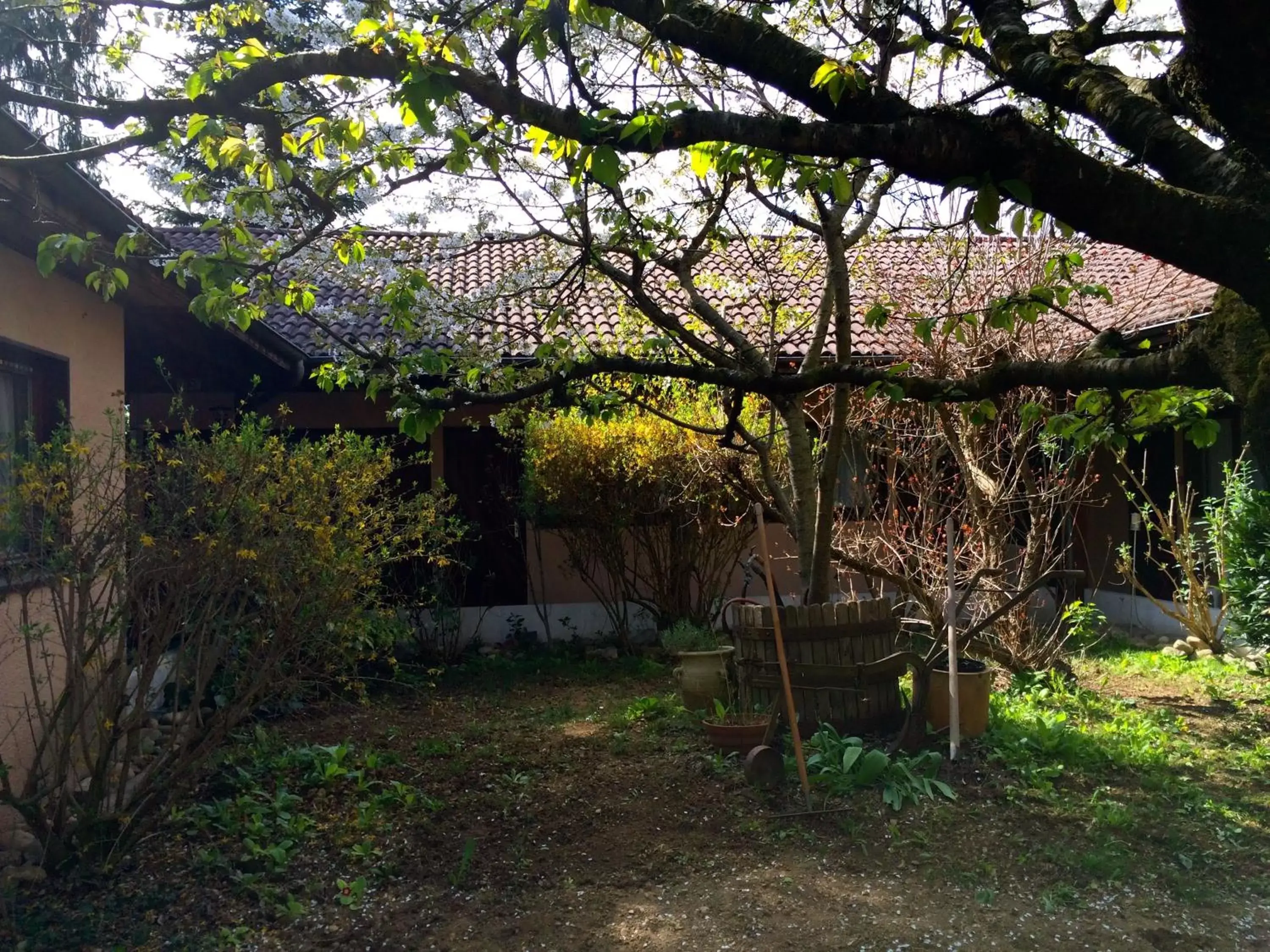 Garden in La Ferme de Thoudiere