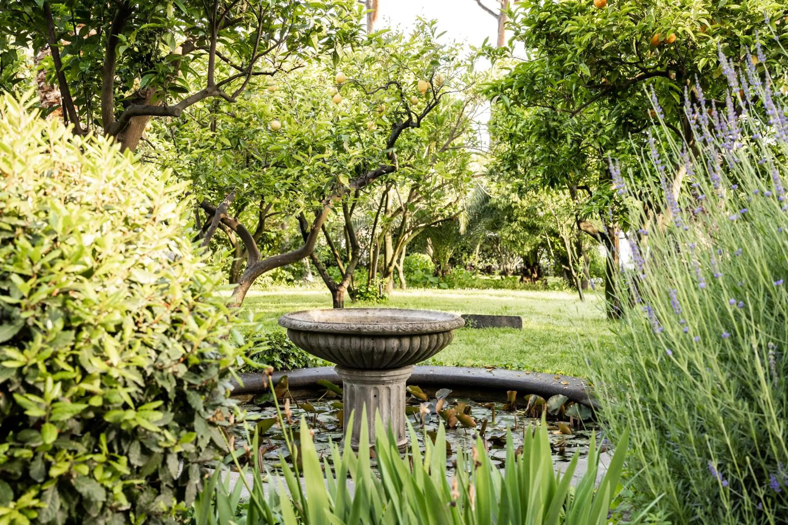Garden in Grand Hotel Cocumella