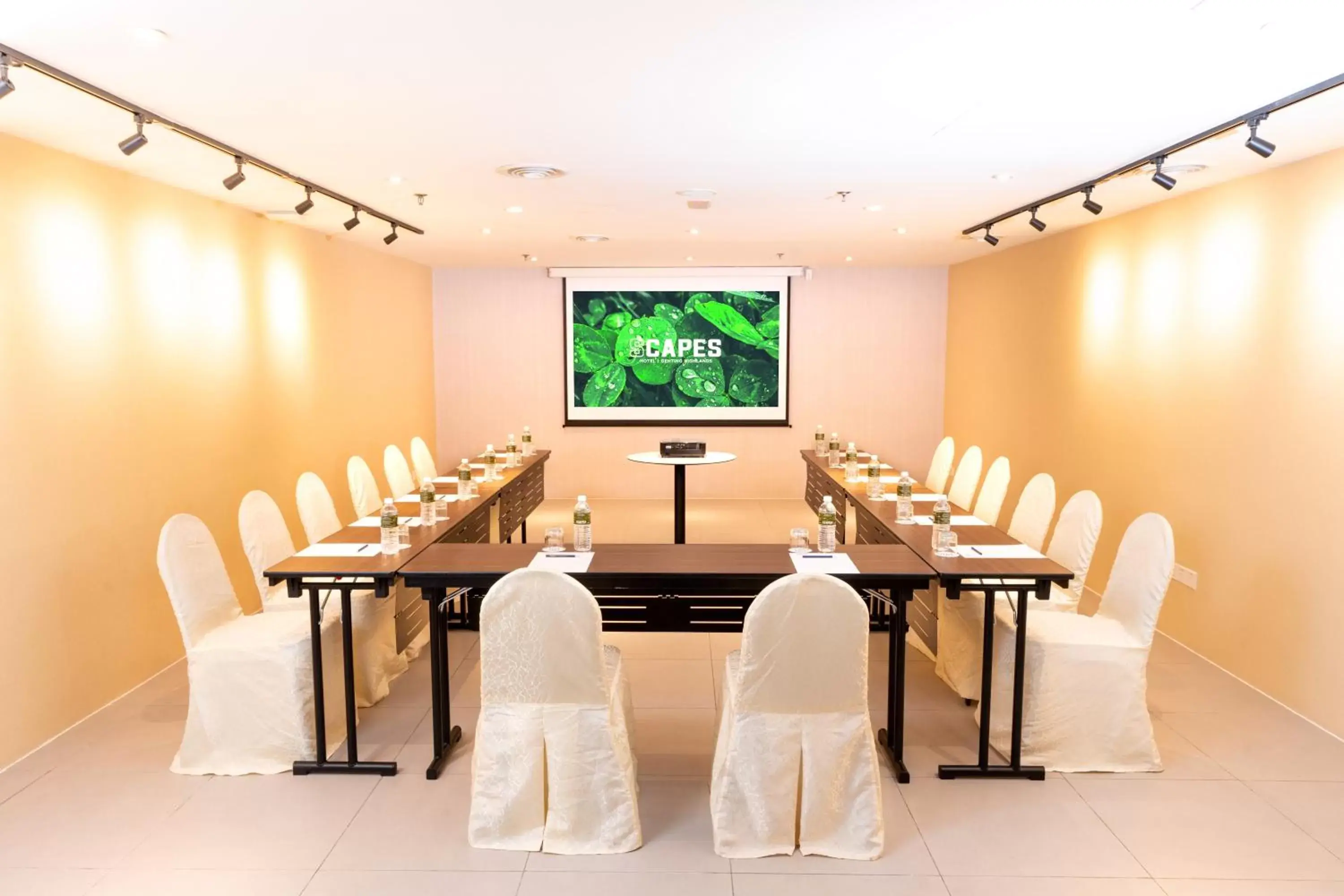 Meeting/conference room in SCAPES Hotel