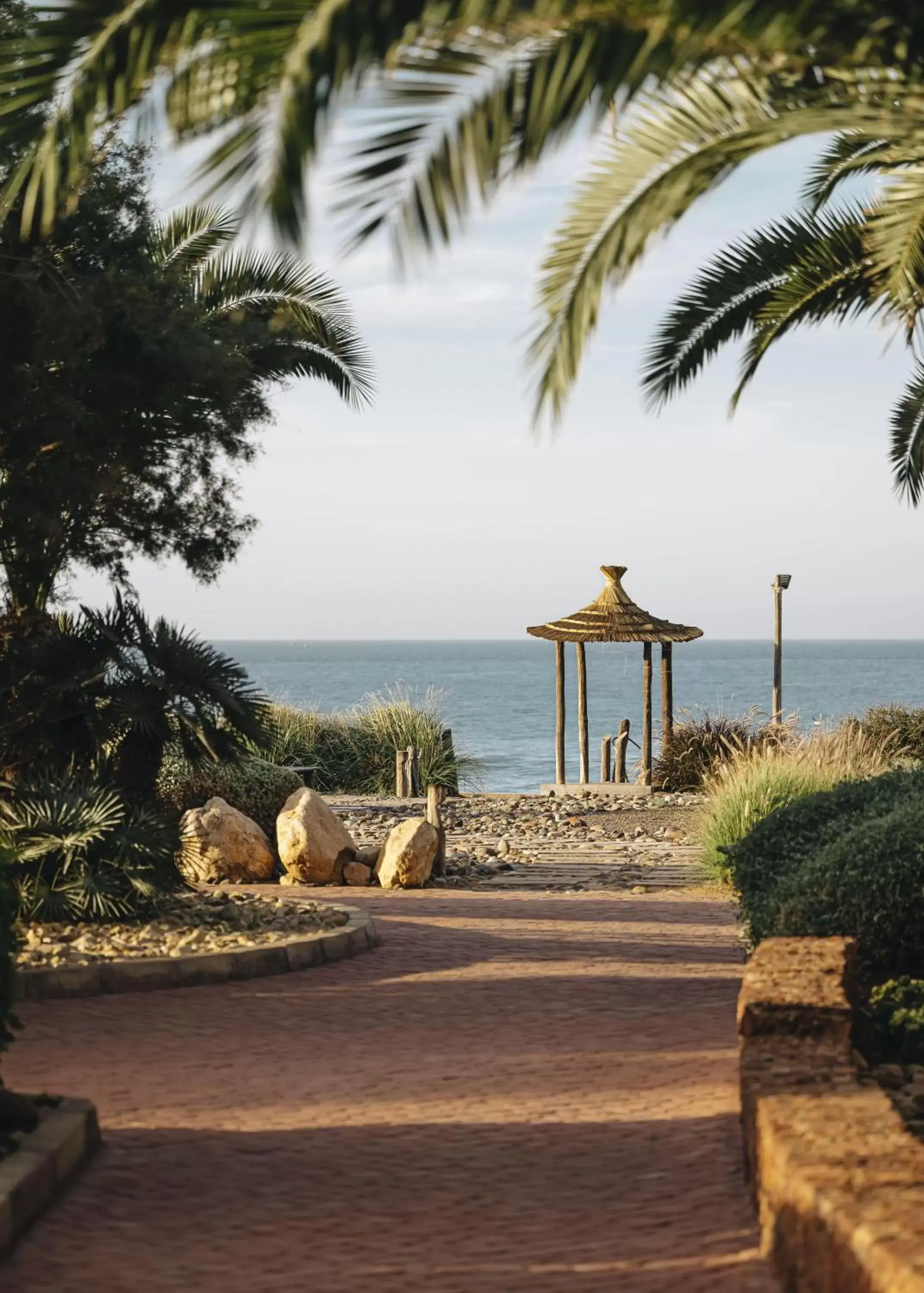 Garden, Beach in Paradis Plage Surf Yoga & Spa