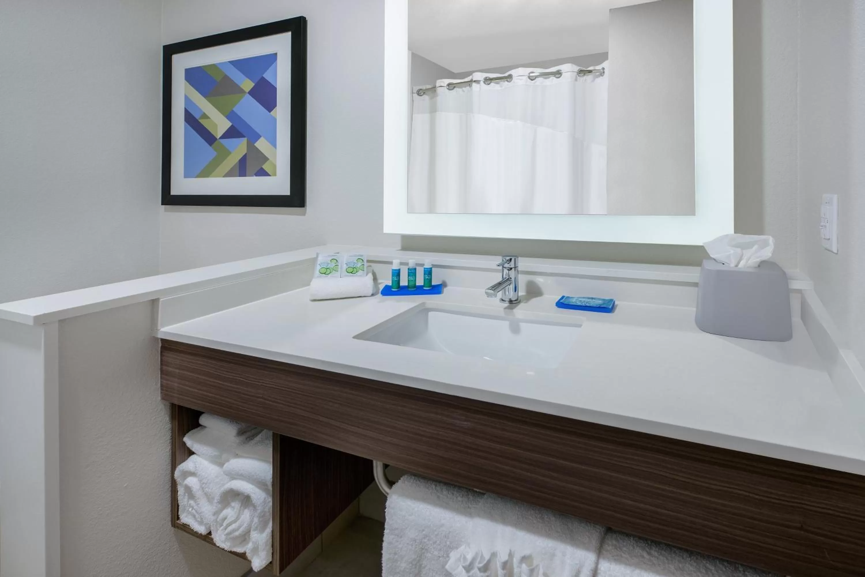 Standard Queen Room - Communication Accessible in Holiday Inn Express & Suites Bryan - College Station, an IHG Hotel