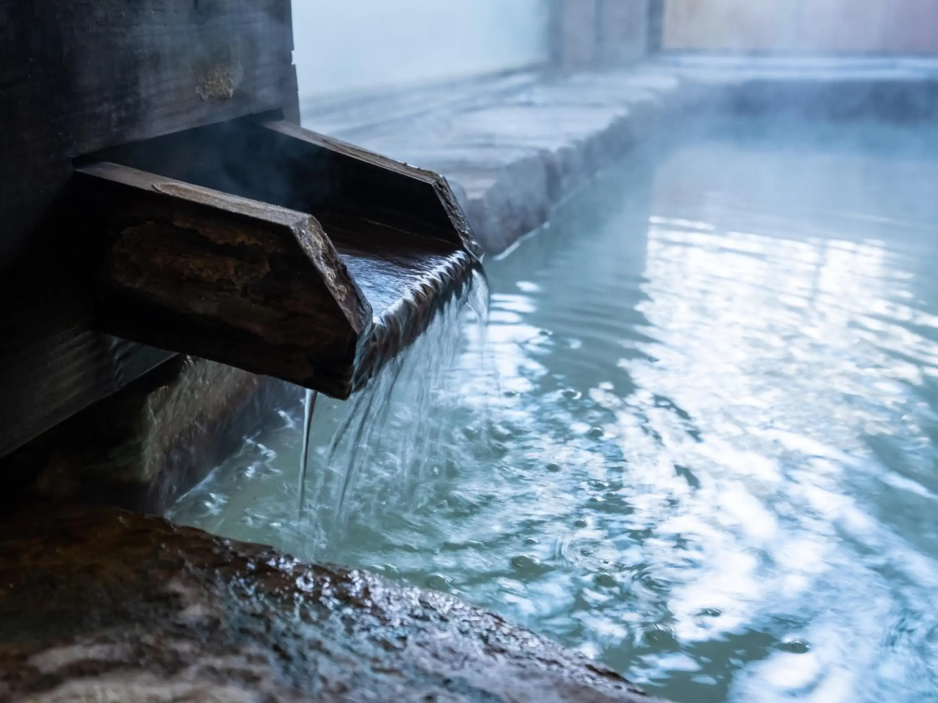 Hot Spring Bath, Swimming Pool in Hakone Shirayunoyado Yamadaya Ryokan