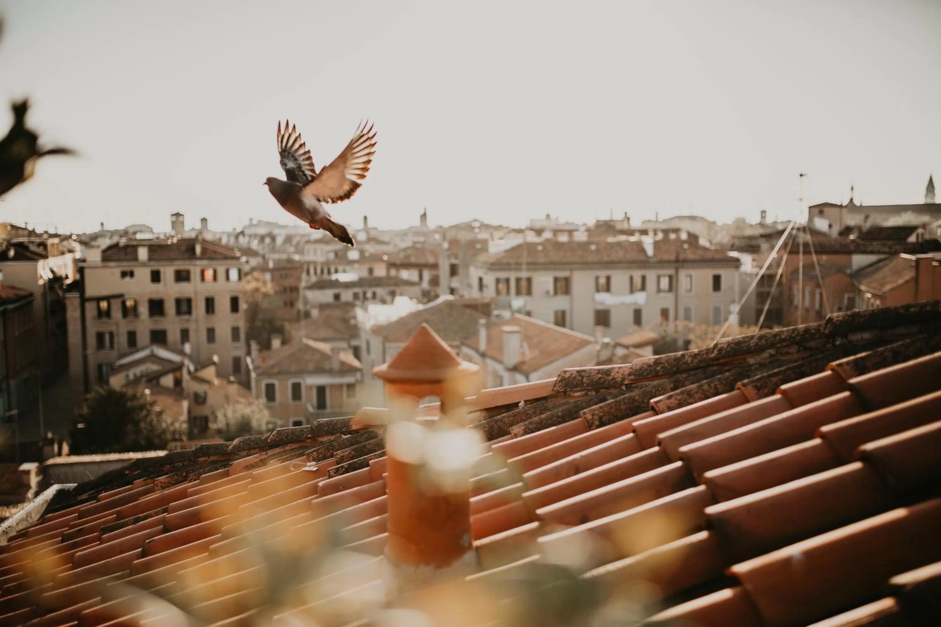 City view in Papadopoli Hotel Venezia - MGallery Collection
