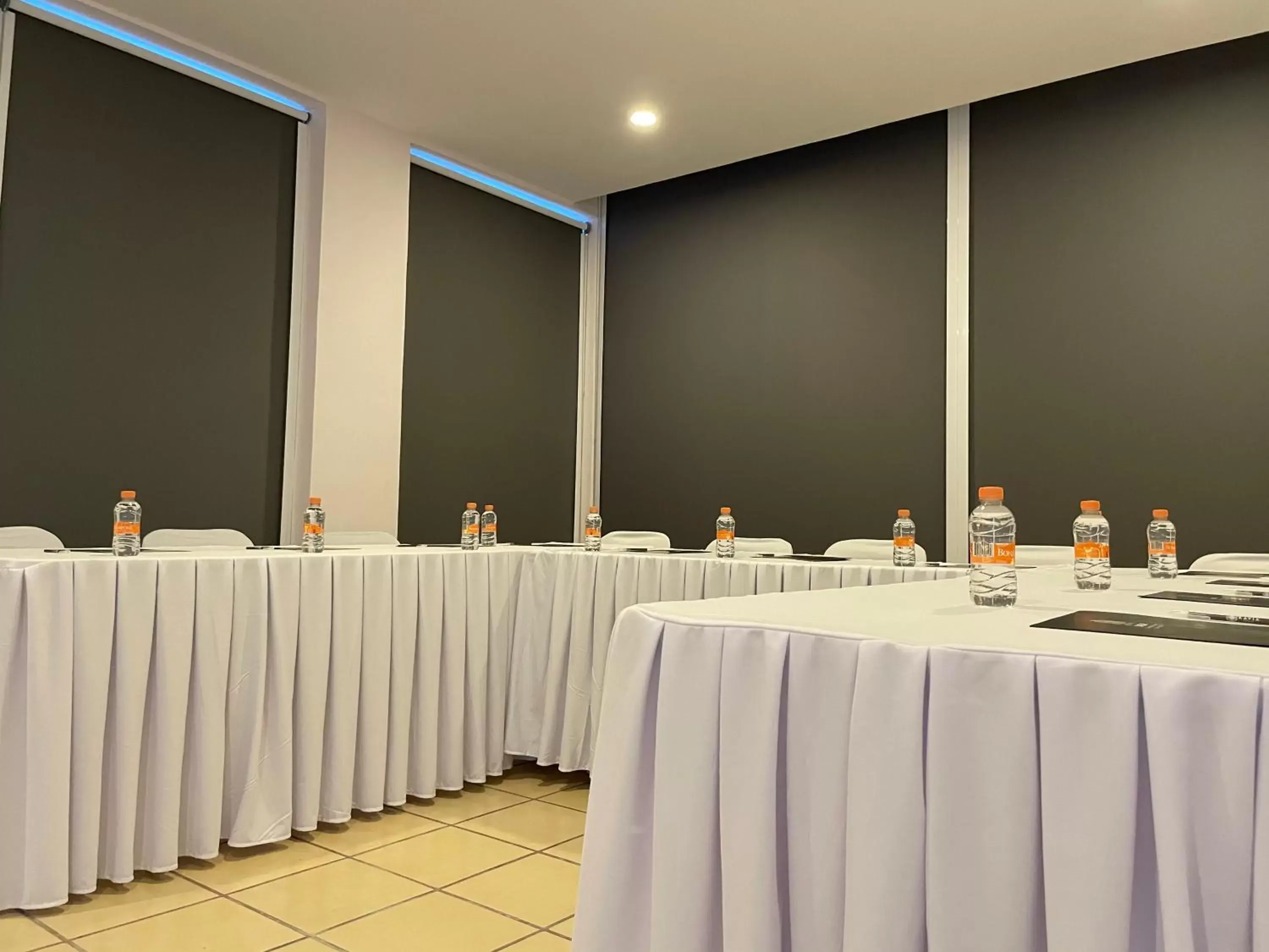 Meeting/conference room in Hotel Kavia