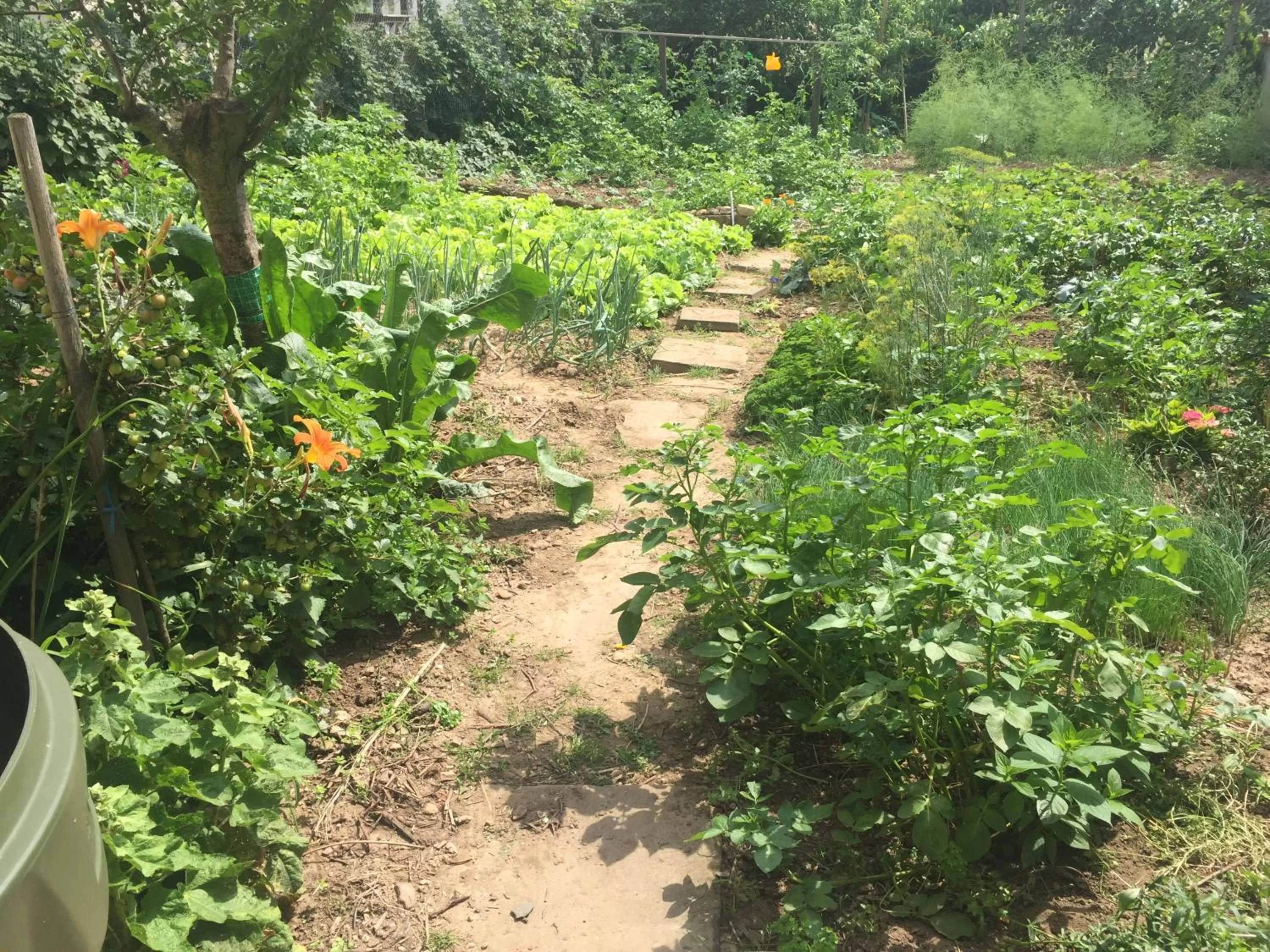 Summer in Jugendstil-Hof