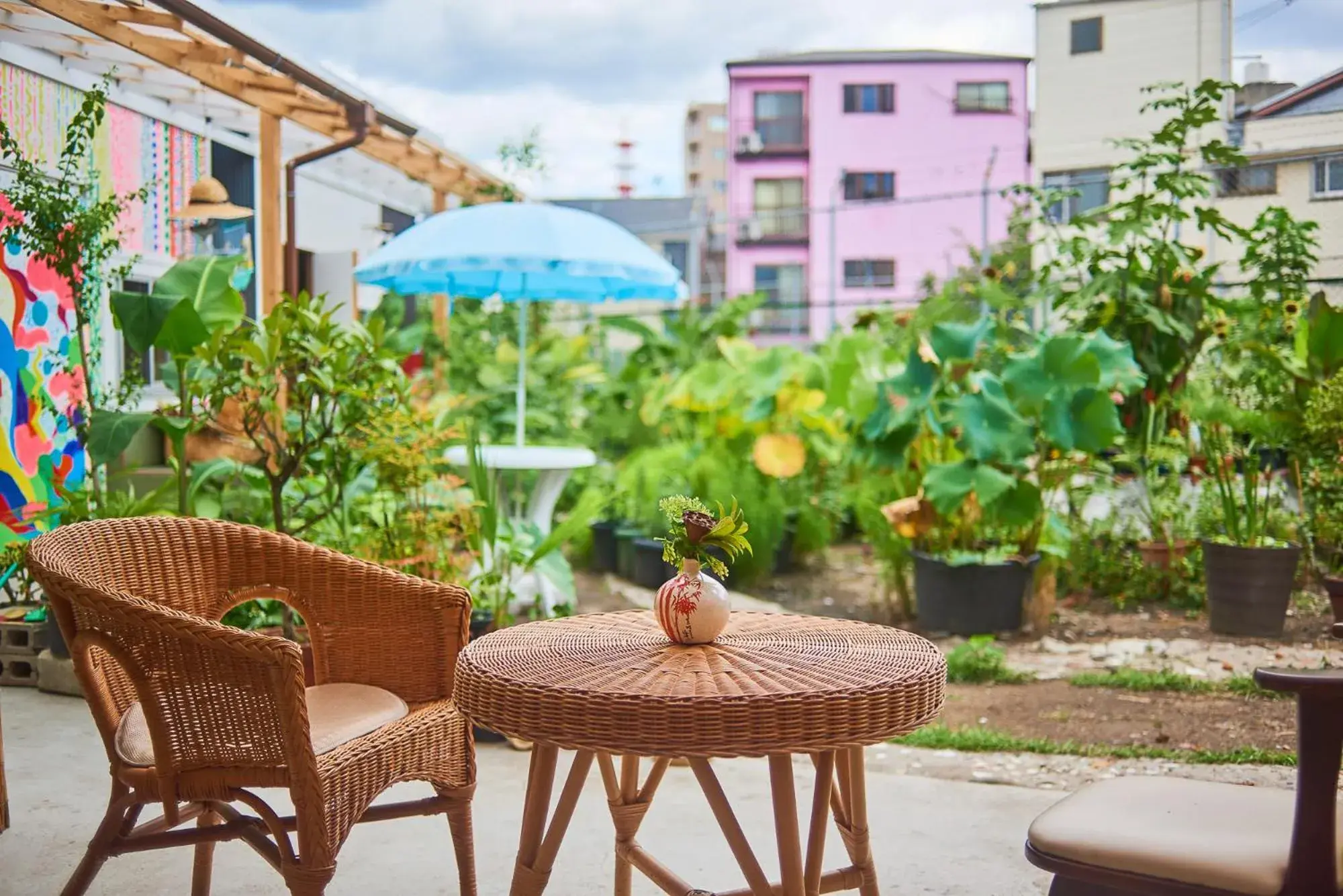 Garden in Kamagasaki University of the Arts Cafe Garden Guest House aka KAMAGEI