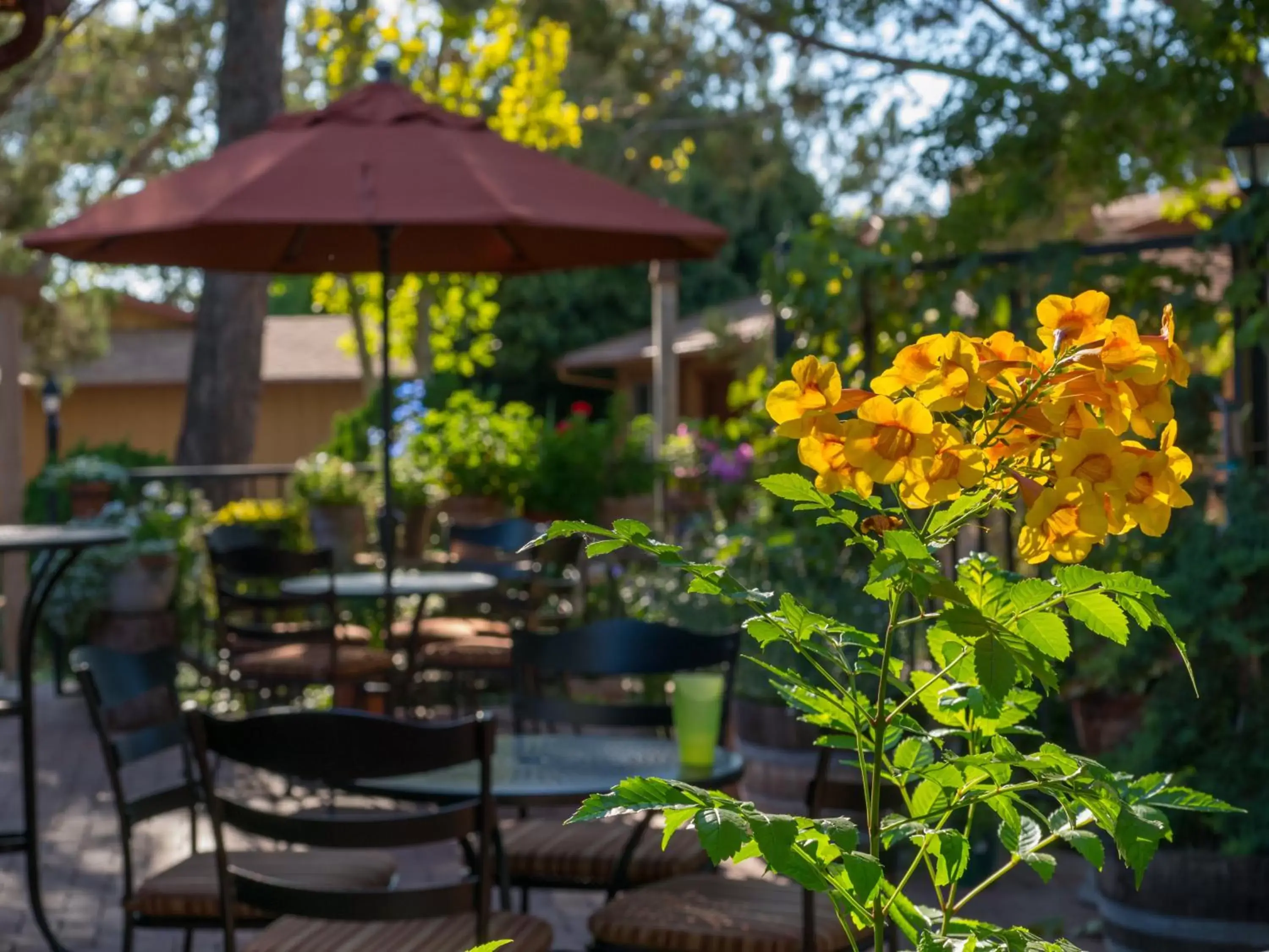 Garden in Sky Ranch Lodge