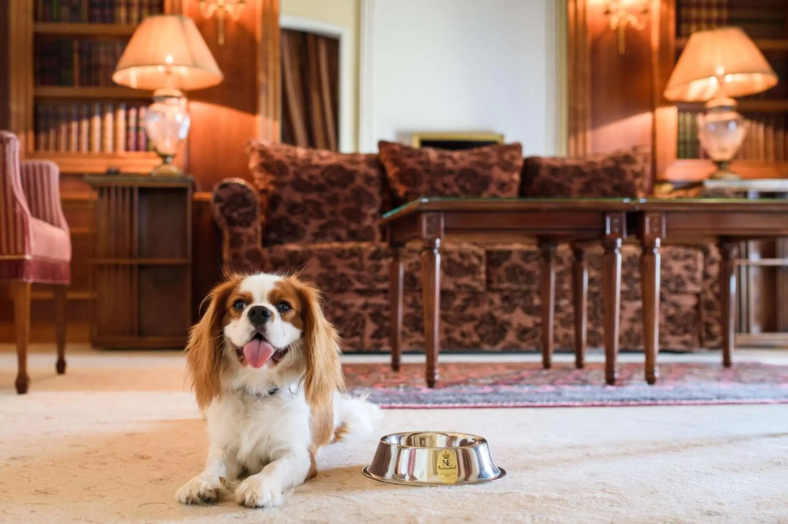 Photo of the whole room, Pets in Hôtel du Palais Biarritz, in The Unbound Collection by Hyatt