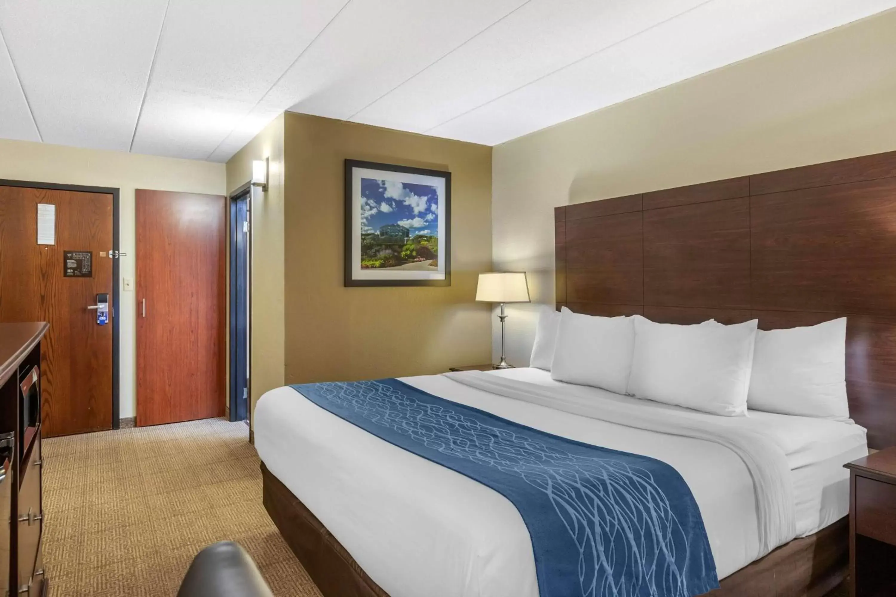 Photo of the whole room, Bed in Comfort Inn Grand Rapids Airport