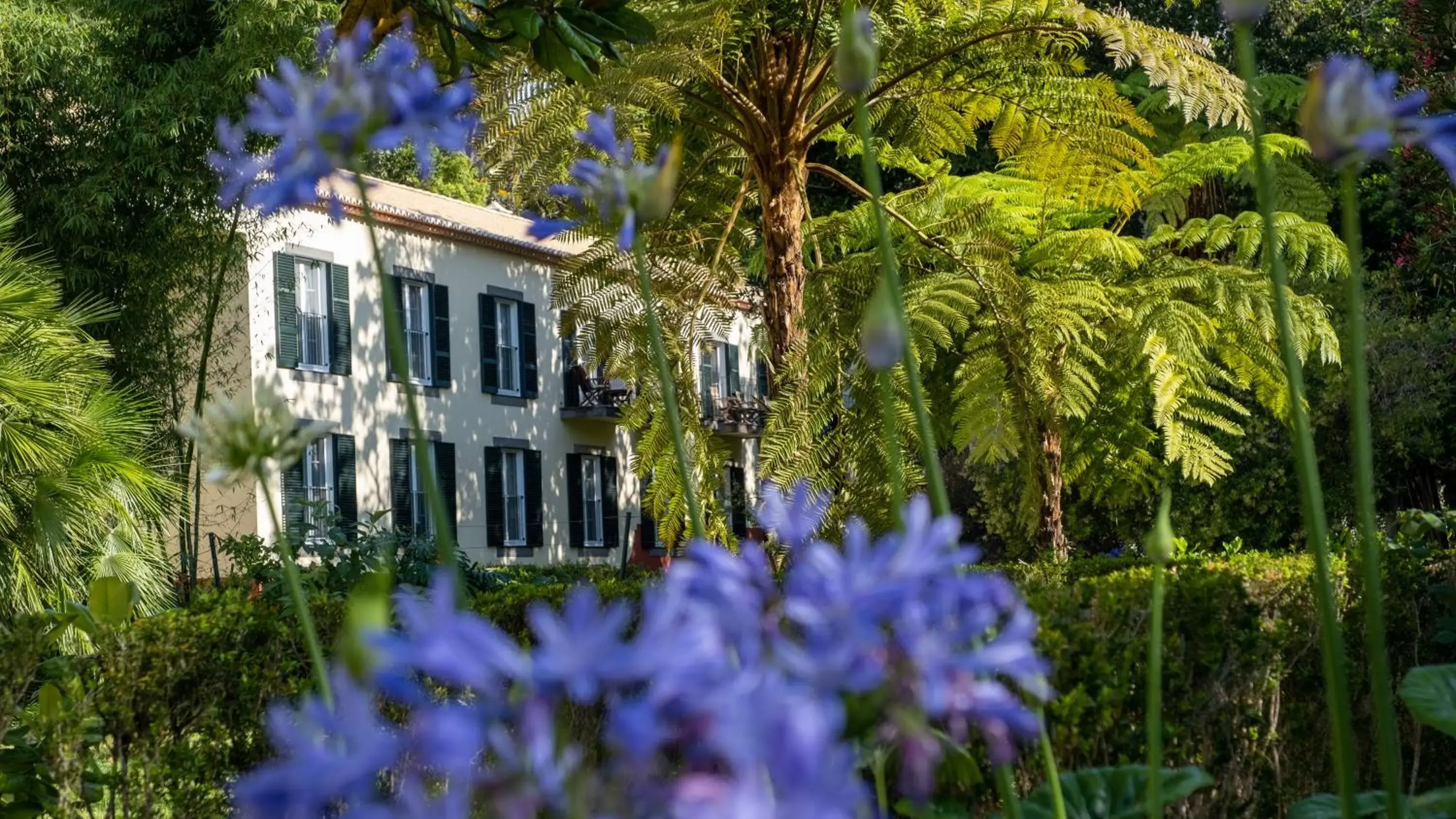 Garden, Property Building in Quinta da Bela Vista