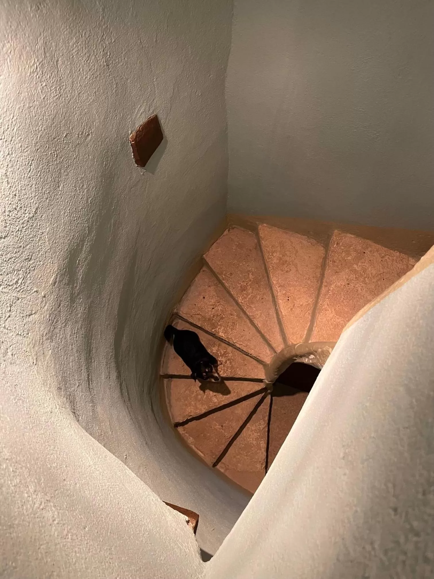 acessibility in Mas Feliu Turismo Rural