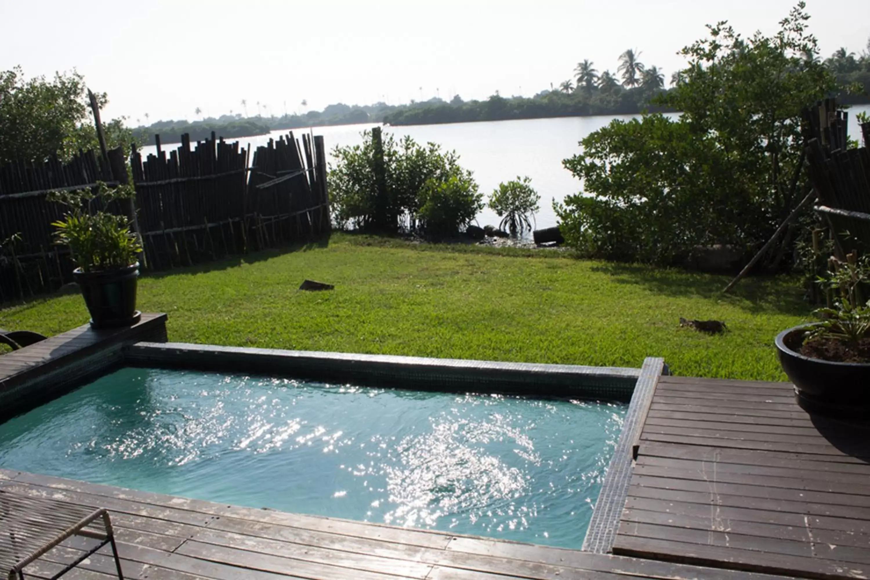 Balcony/Terrace, Swimming Pool in Isla Tajín