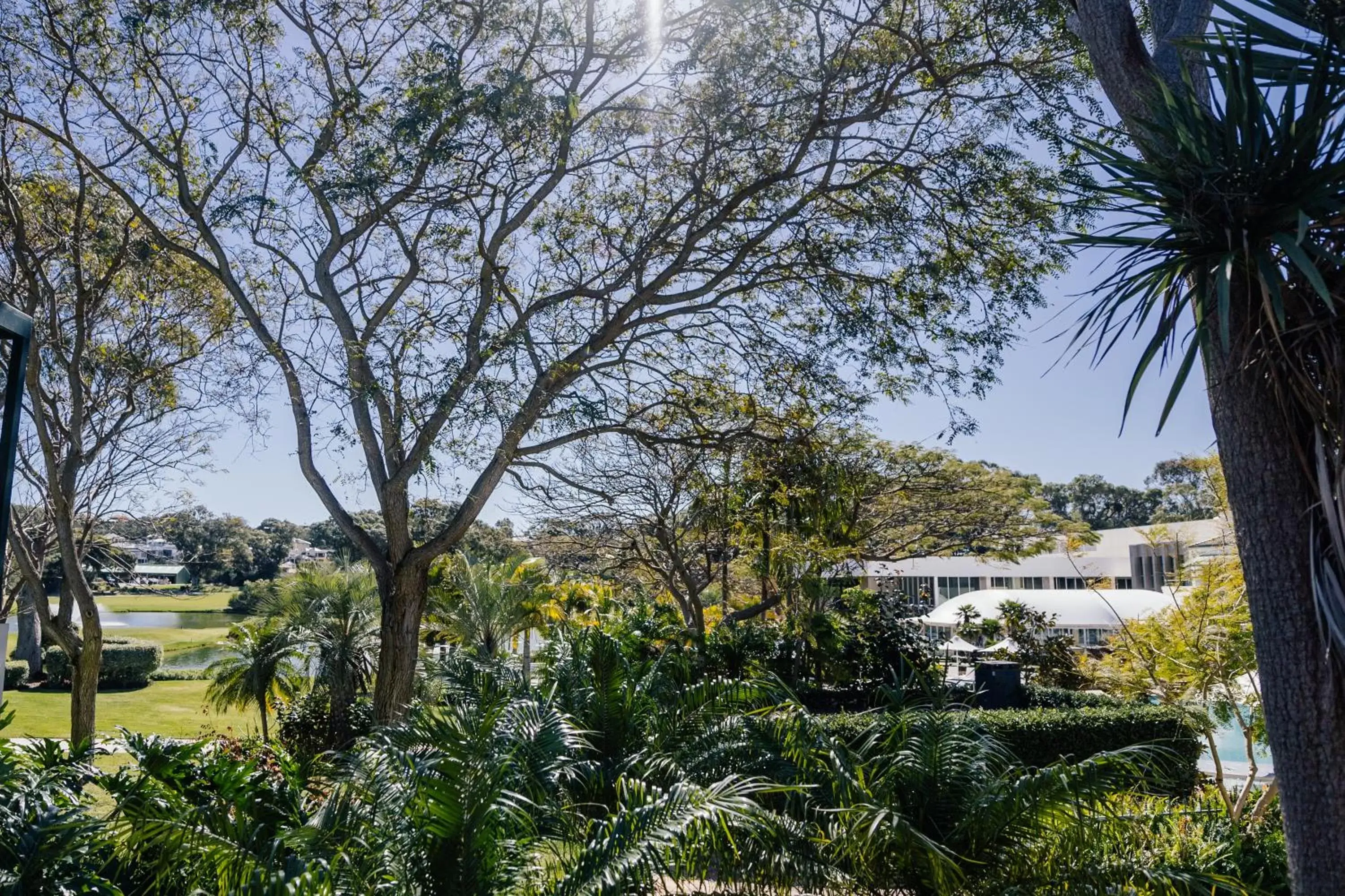 View (from property/room) in Joondalup Resort View (from property/room) in Joondalup Resort