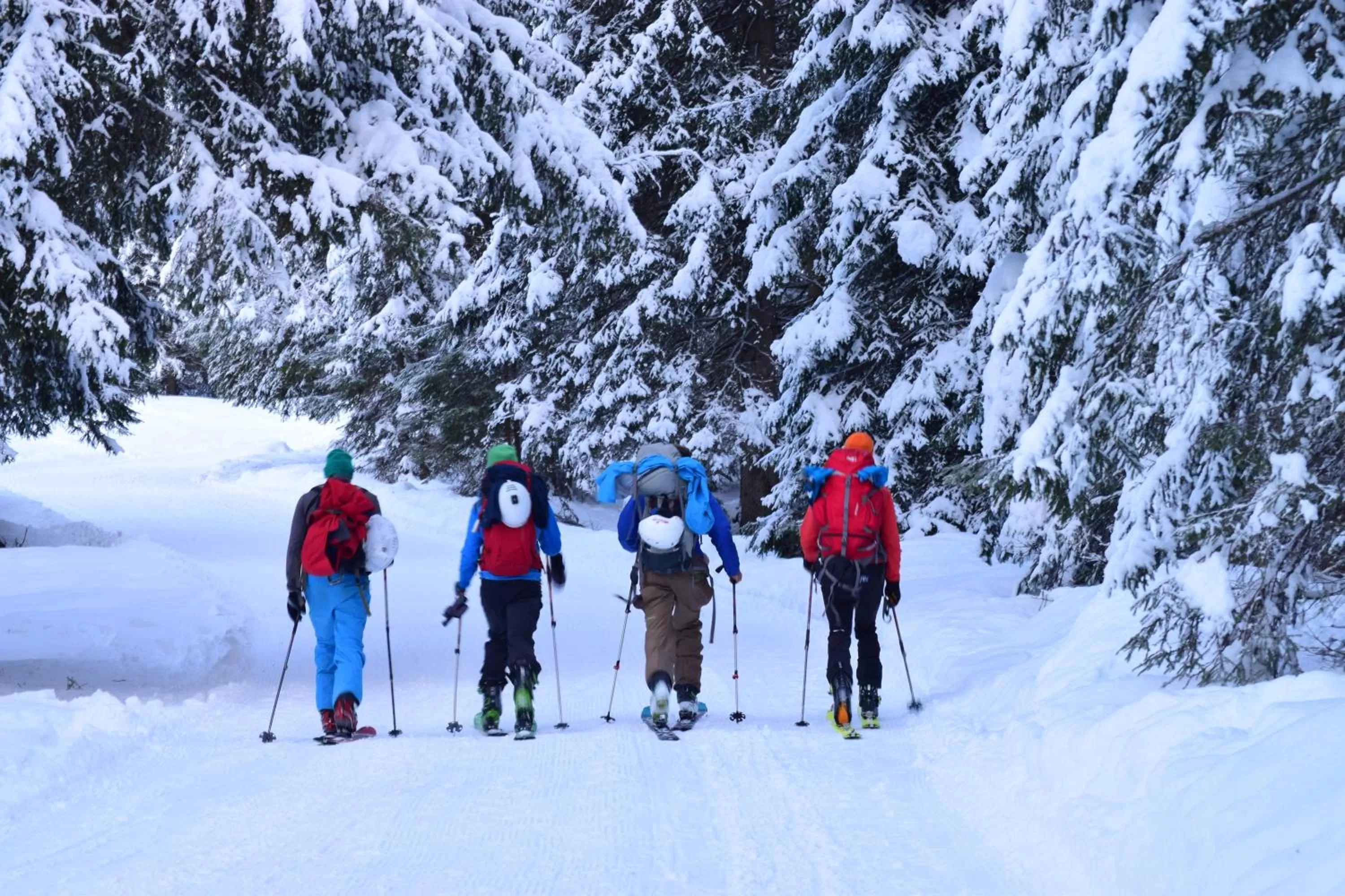 People in Hotel Shandranj