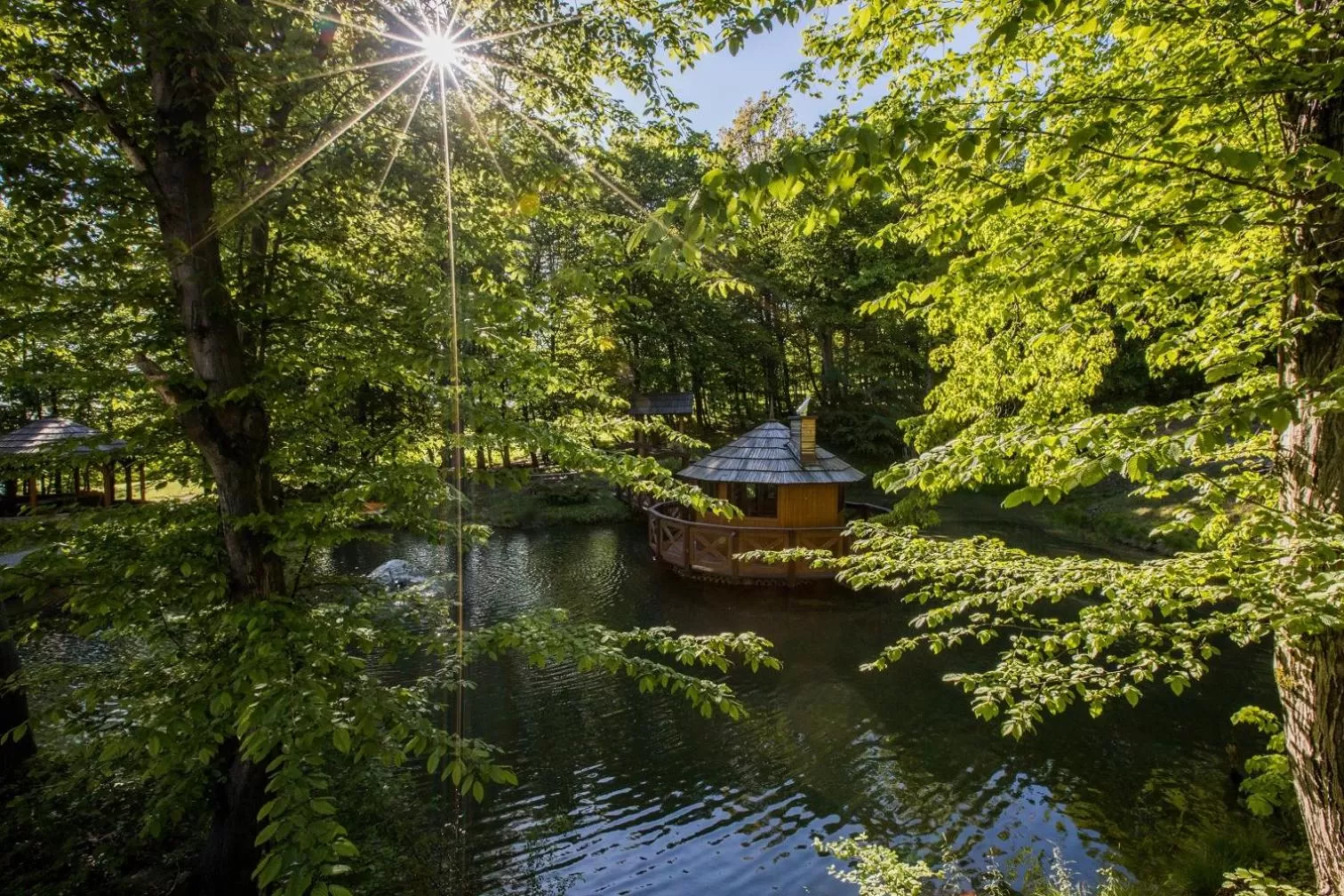 Garden view in Basztogród
