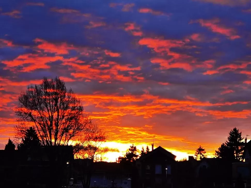 LES PINGOUINS DE LA MARNE