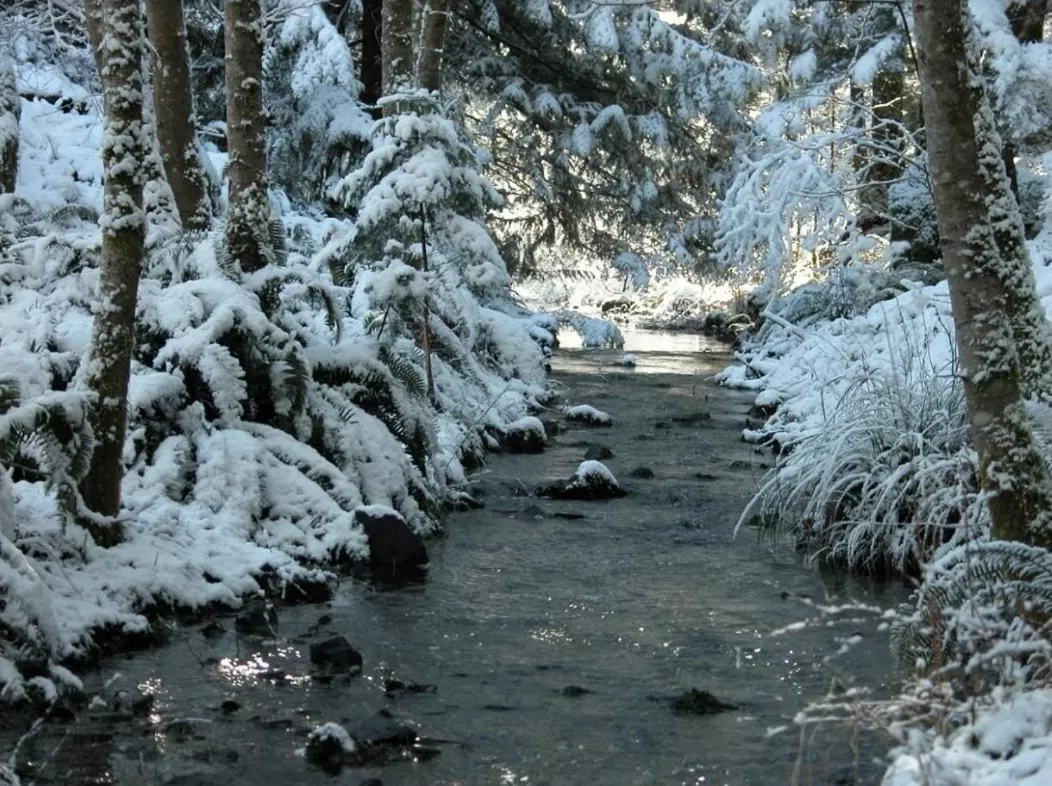 Amante Luxury Bed & Breakfast