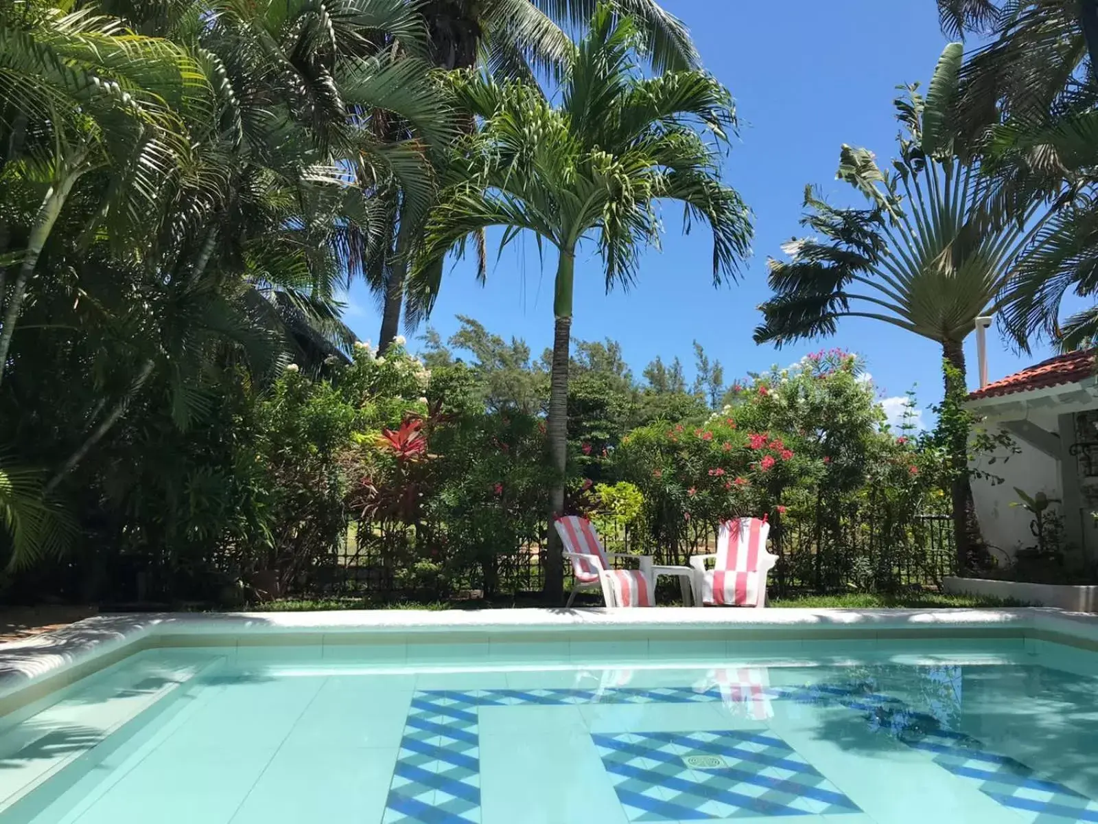 Swimming Pool in La Villa du Golf à Cancun Hotel Boutique