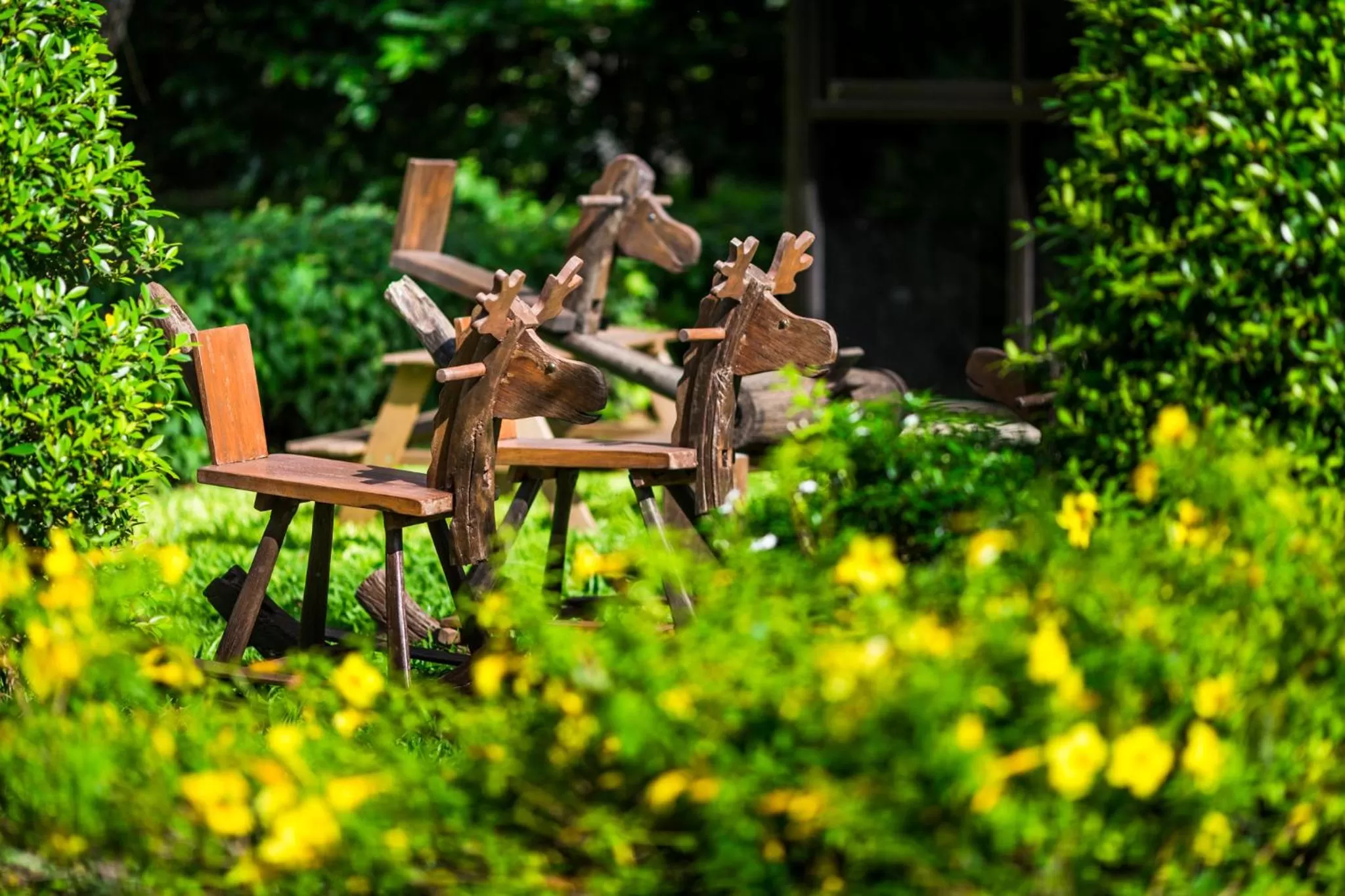 Garden in Ruan Kanchanok