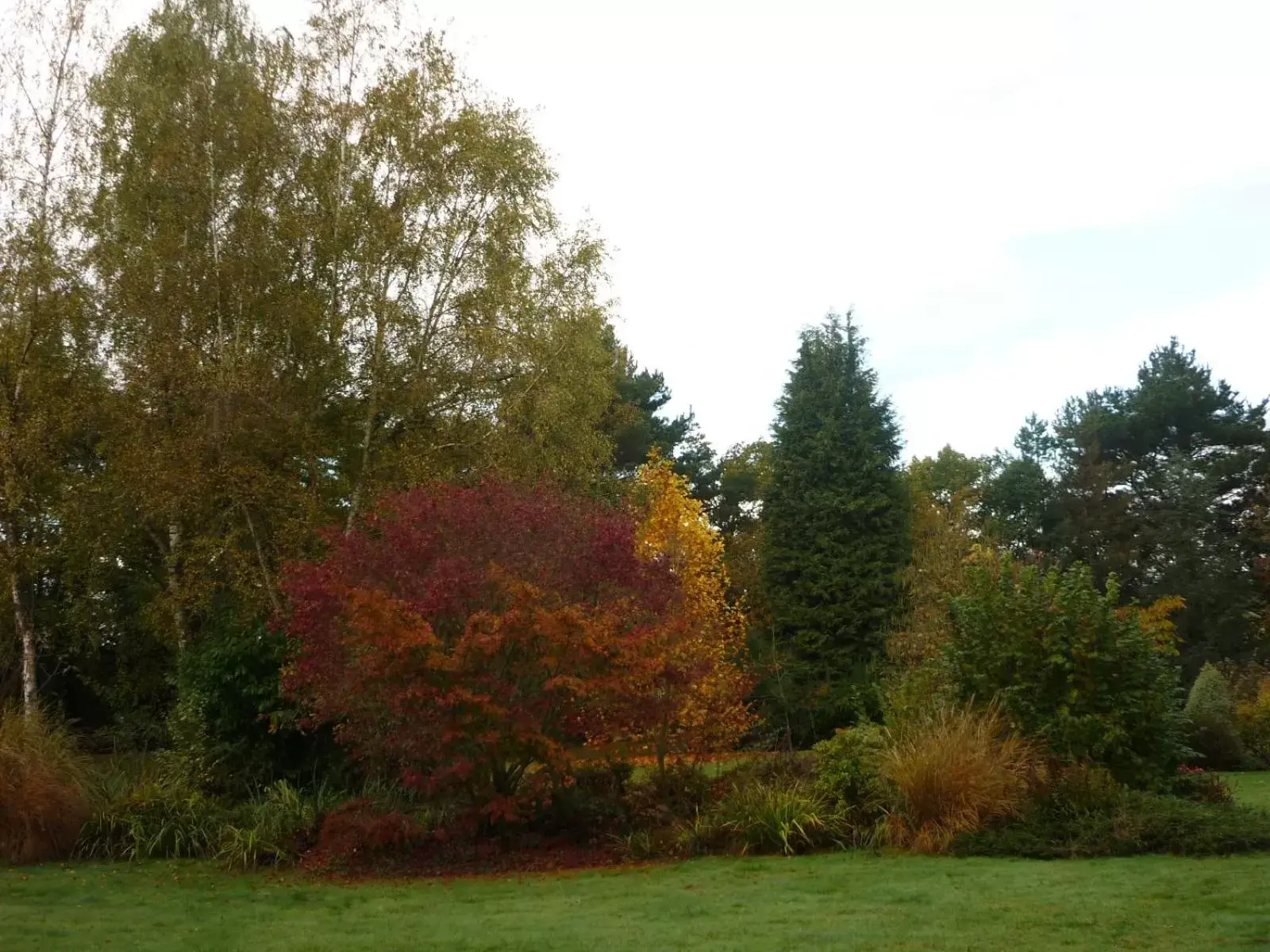 Garden view in Stretcha