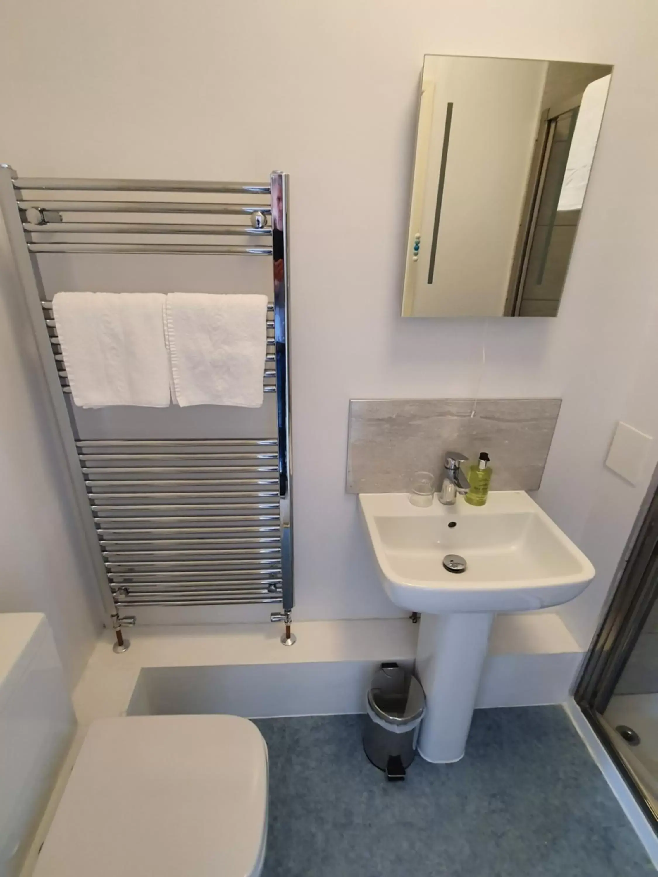 Toilet, Bathroom in Alexandra Hotel