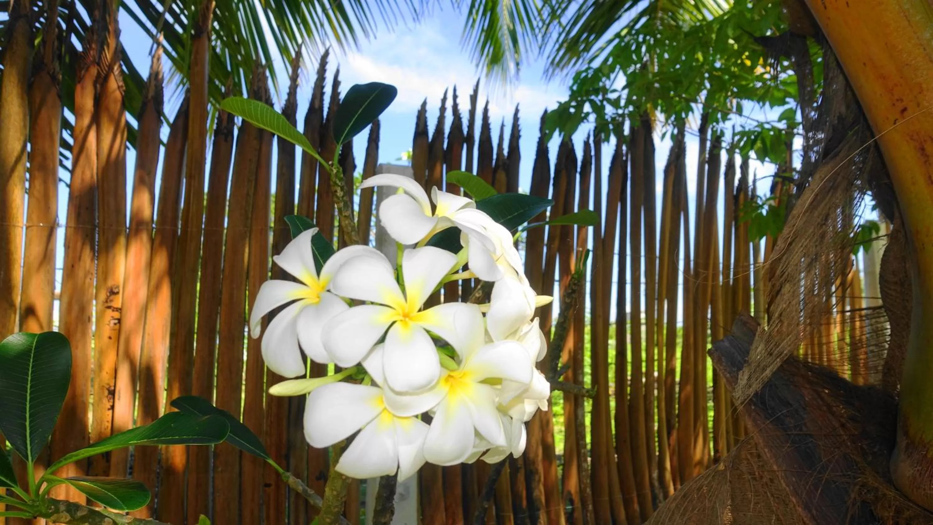 Garden in Regina Beach Bungalow