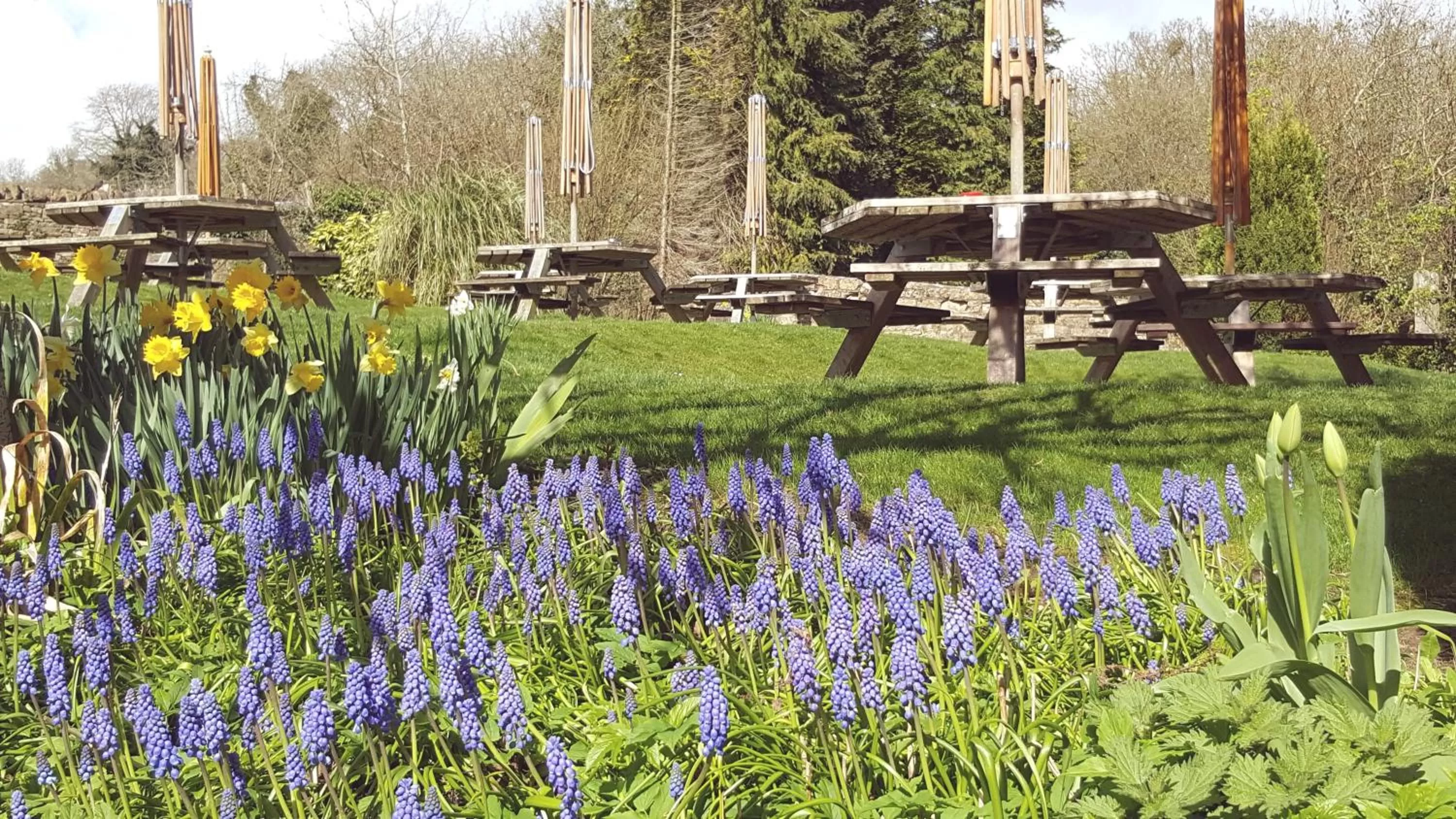 Garden in Horse and Groom