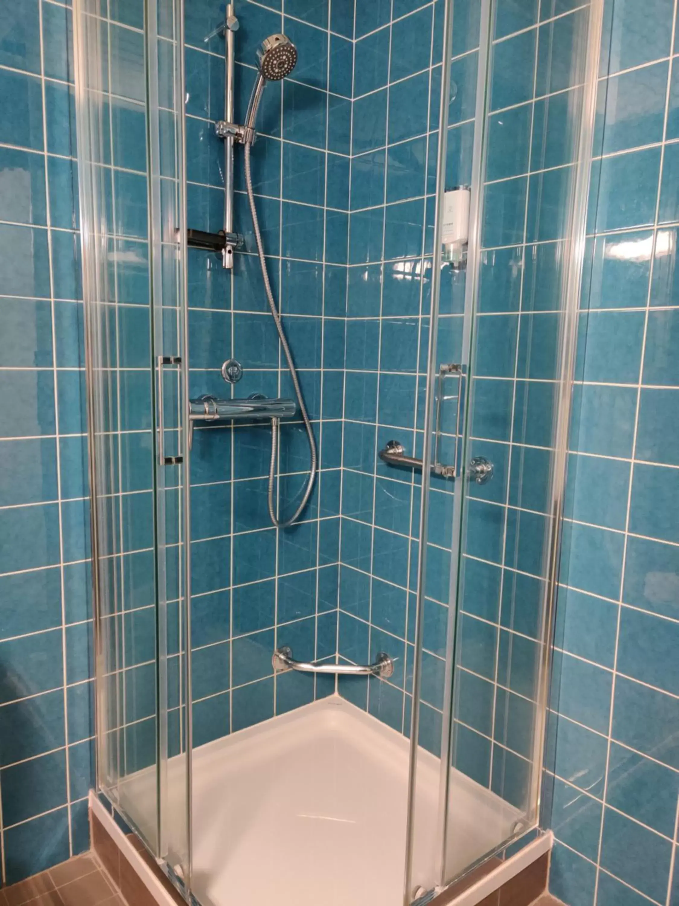 Shower, Bathroom in College Garden Hotel