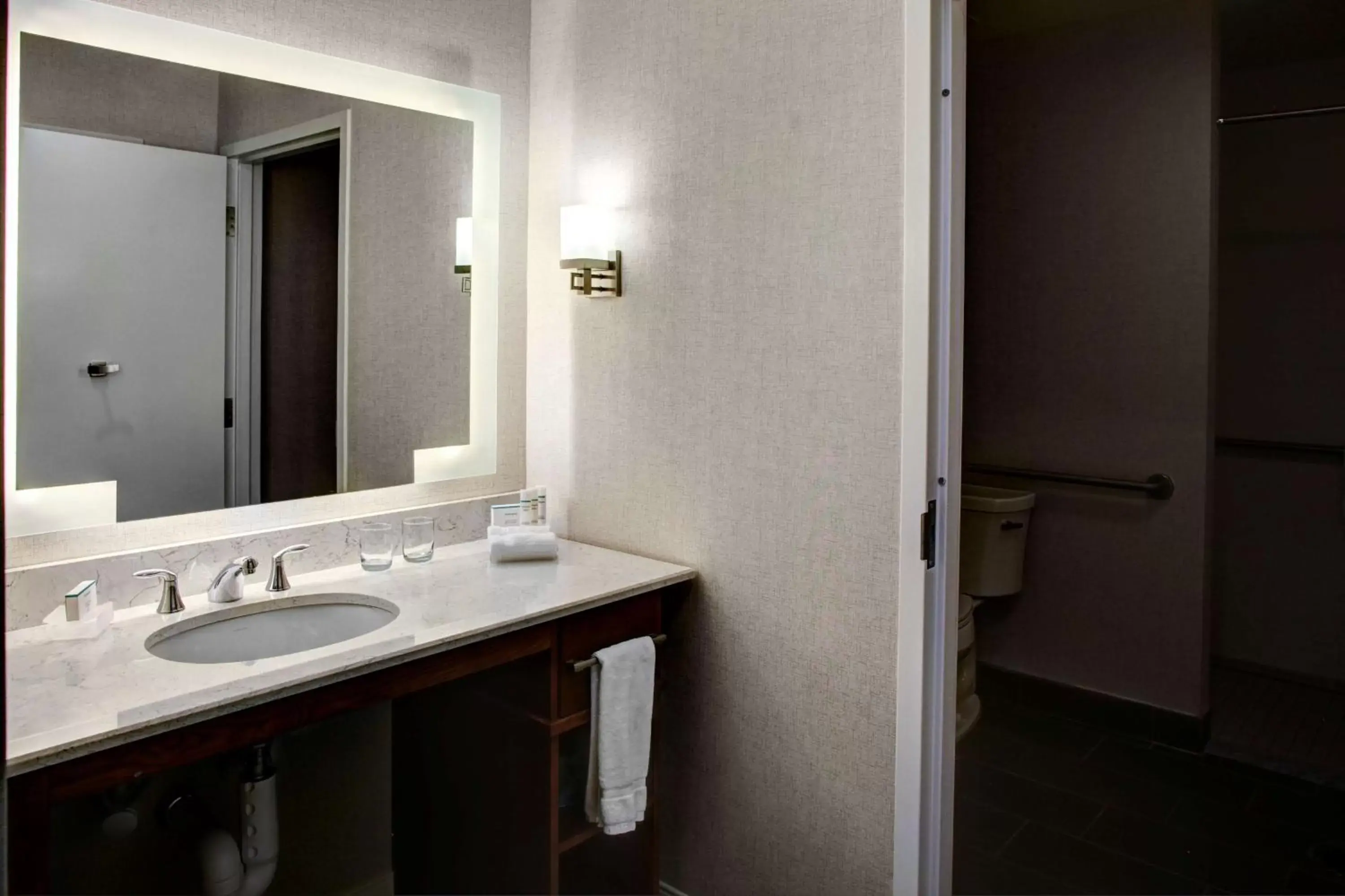 Bathroom in Homewood Suites by Hilton Richmond-Downtown