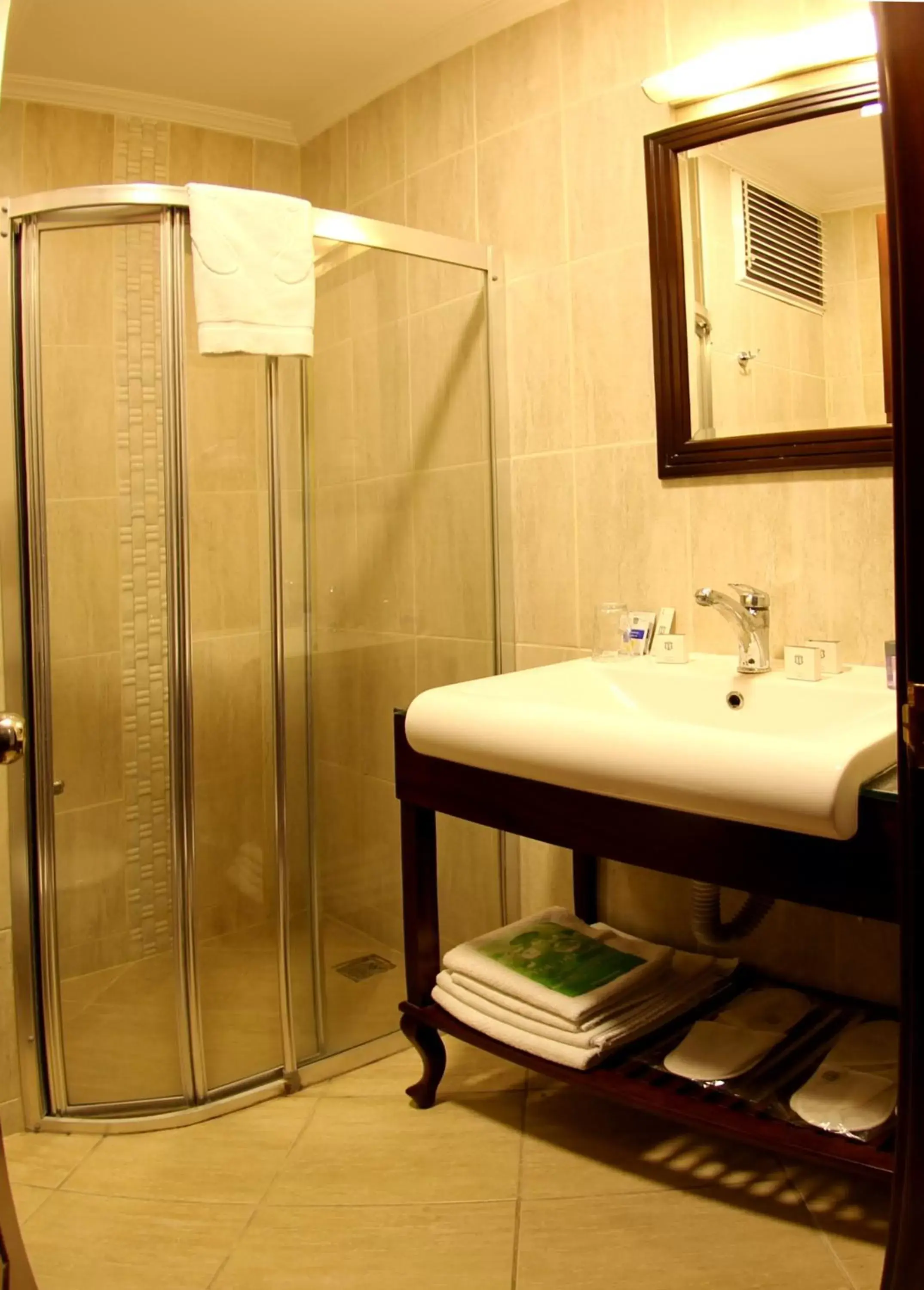 Shower, Bathroom in Saint John Hotel