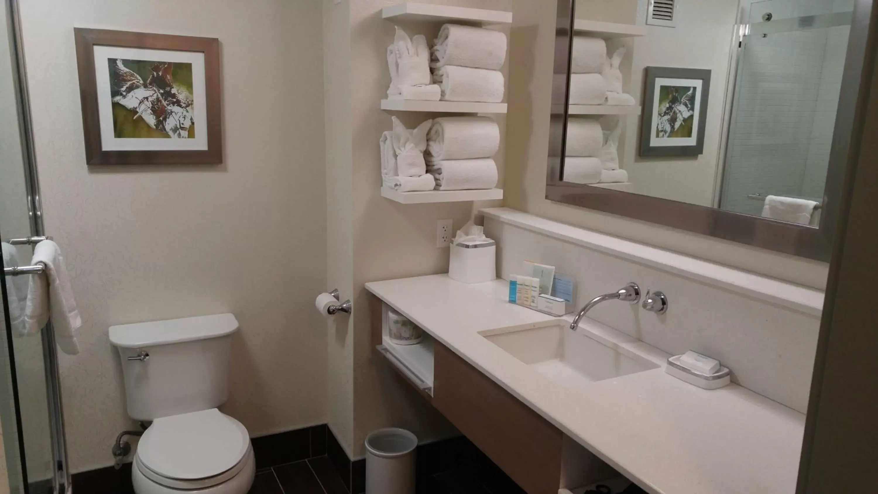 Bathroom in Hampton Inn & Suites by Hilton Calgary University NW