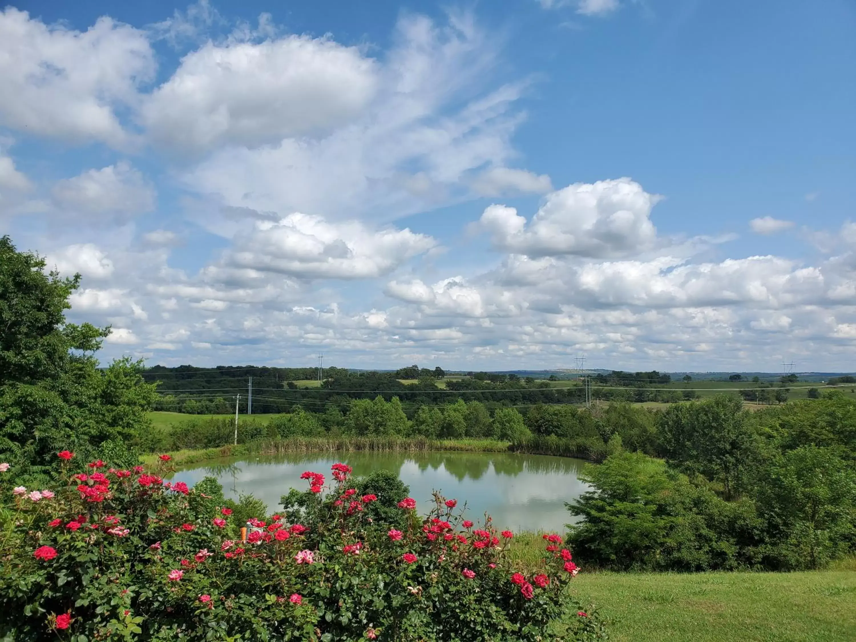 Natural landscape in Candlelight Inn & Suites Hwy 69 near McAlester