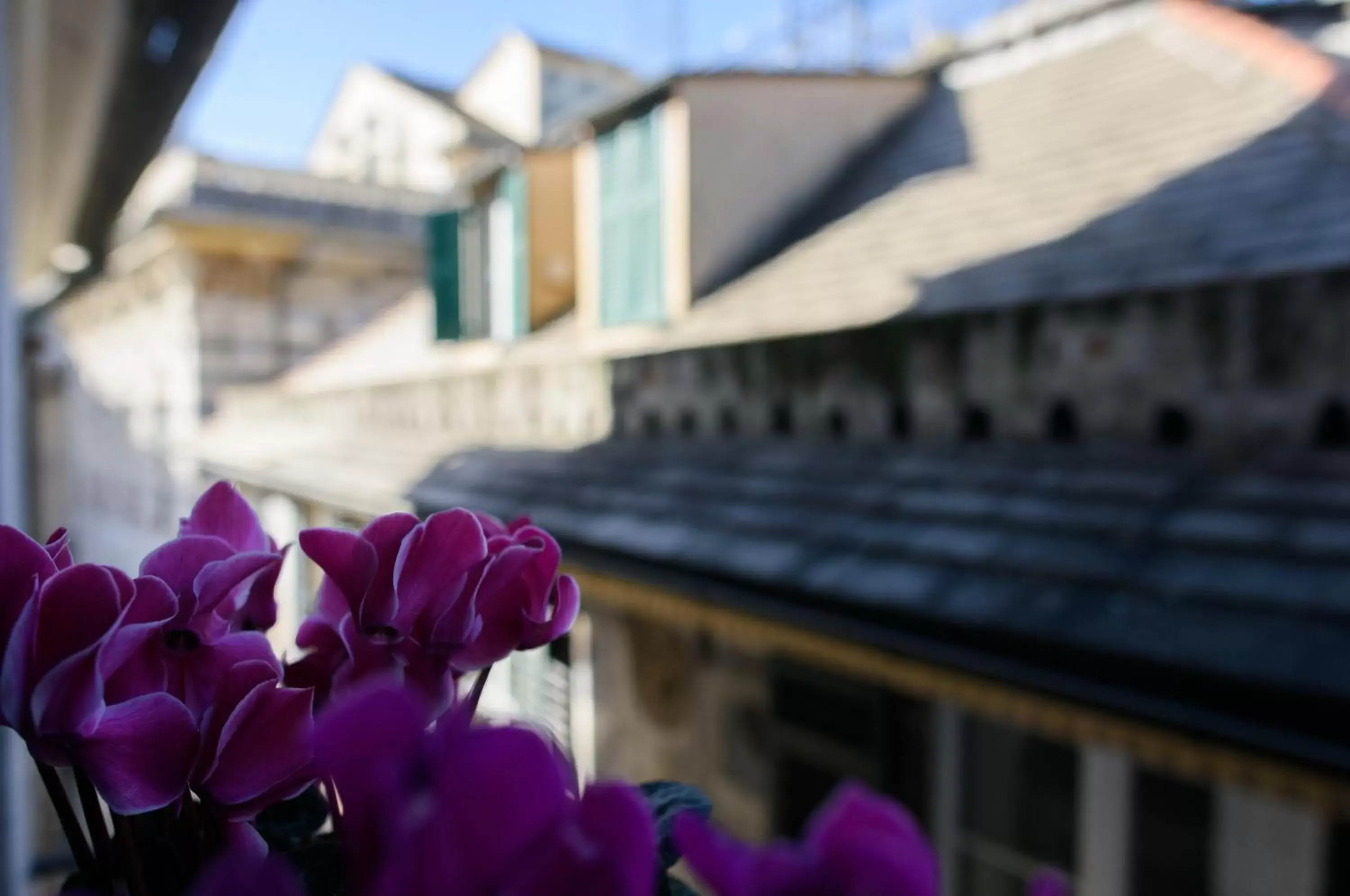 Balcony/Terrace, Property Building in B&B Piccoli Leoni