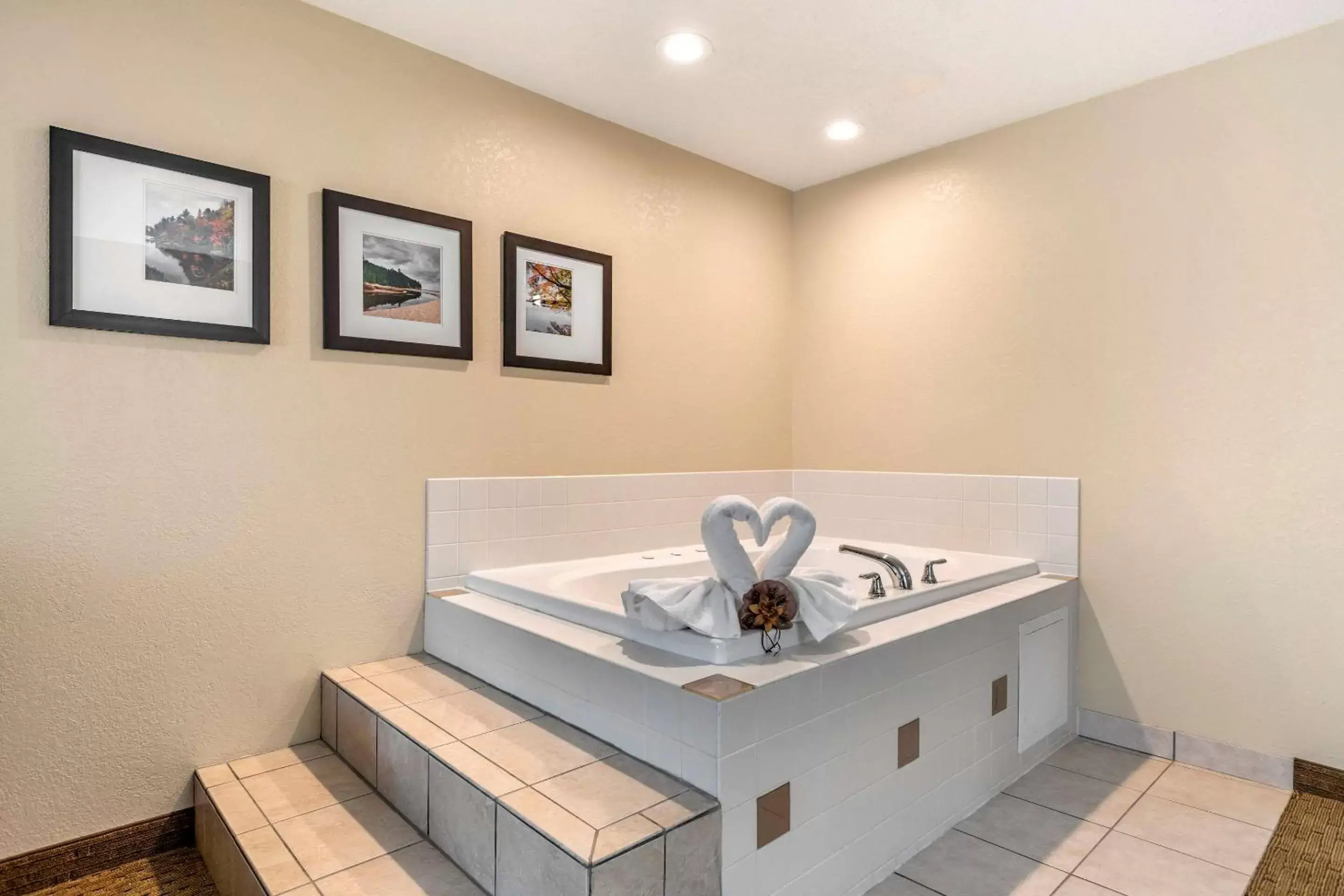 Bathroom, Coffee/Tea Facilities in Comfort Suites Grand Rapids North