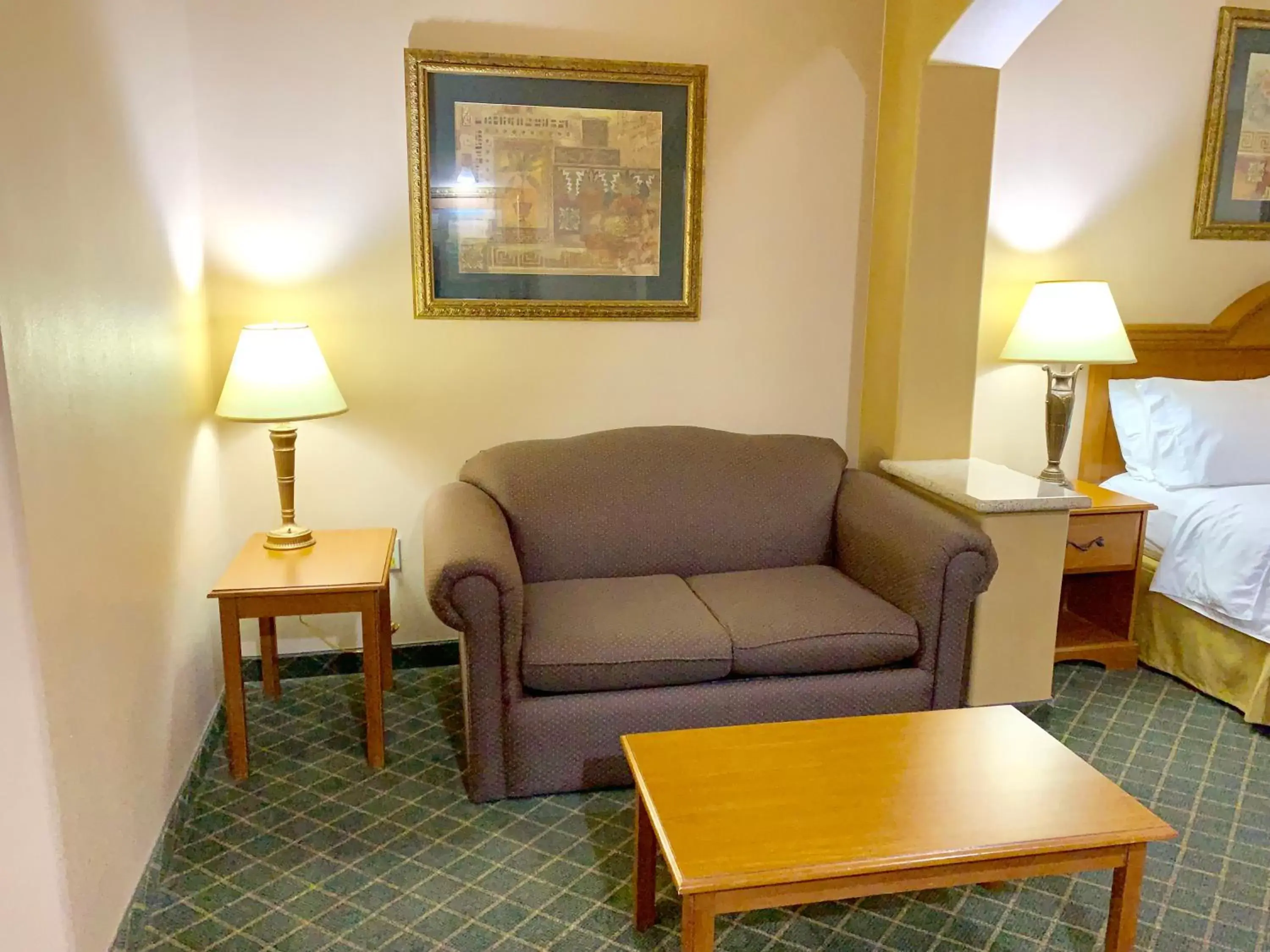 Living room, Seating Area in Holiday Inn Express Hotel and Suites Alice, an IHG Hotel