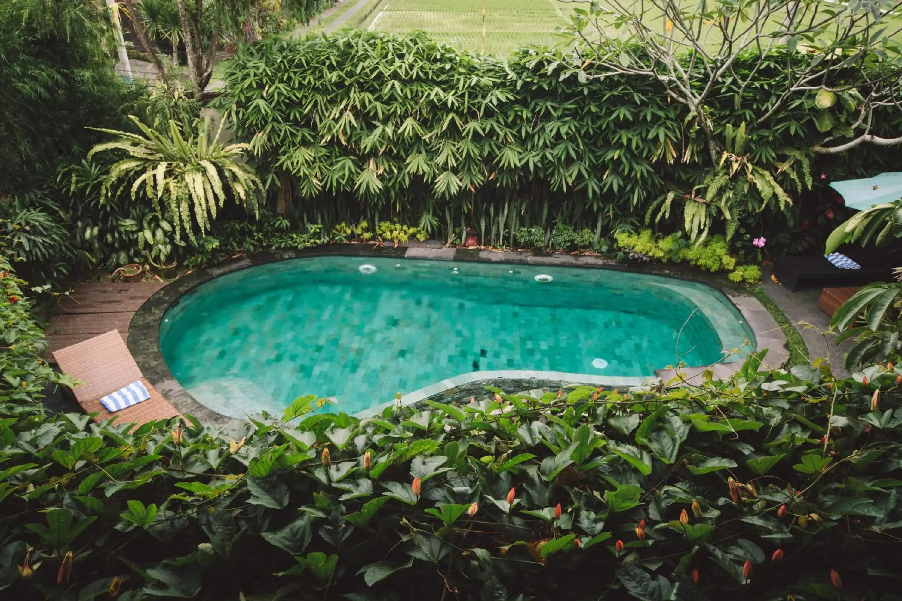 Pool view in Junjungan Ubud Hotel and Spa Pool view in Junjungan Ubud Hotel and Spa