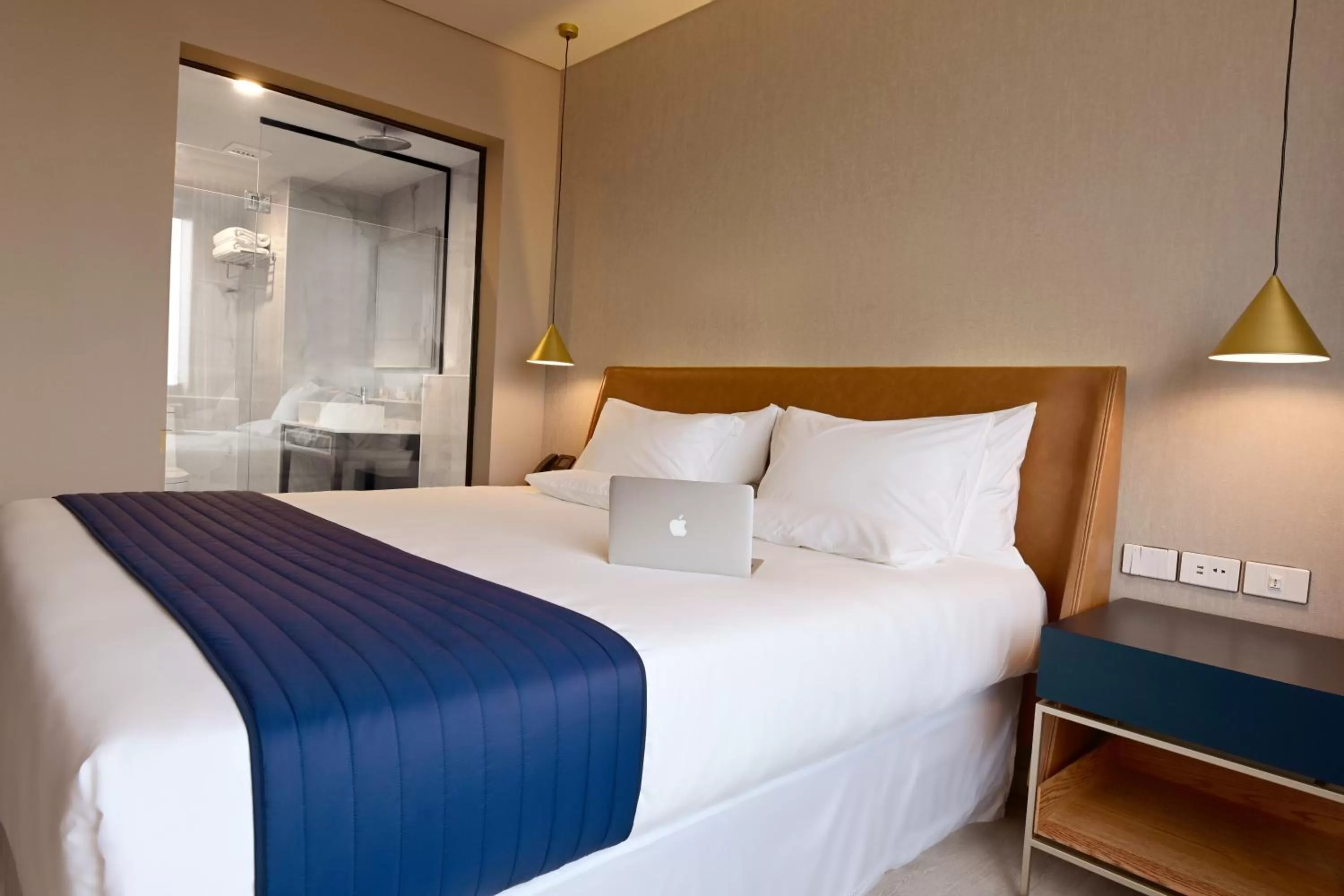 Executive Room in Novotel Santa Cruz De La Sierra