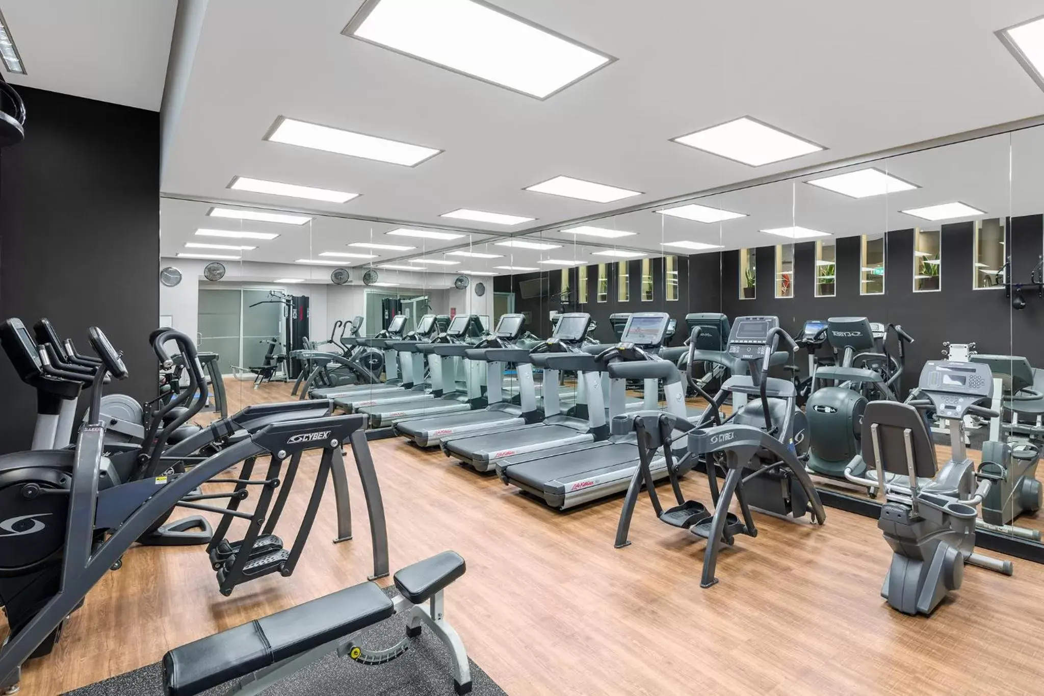 Activities, Fitness Center/Facilities in Radisson Blu Plaza Hotel Sydney