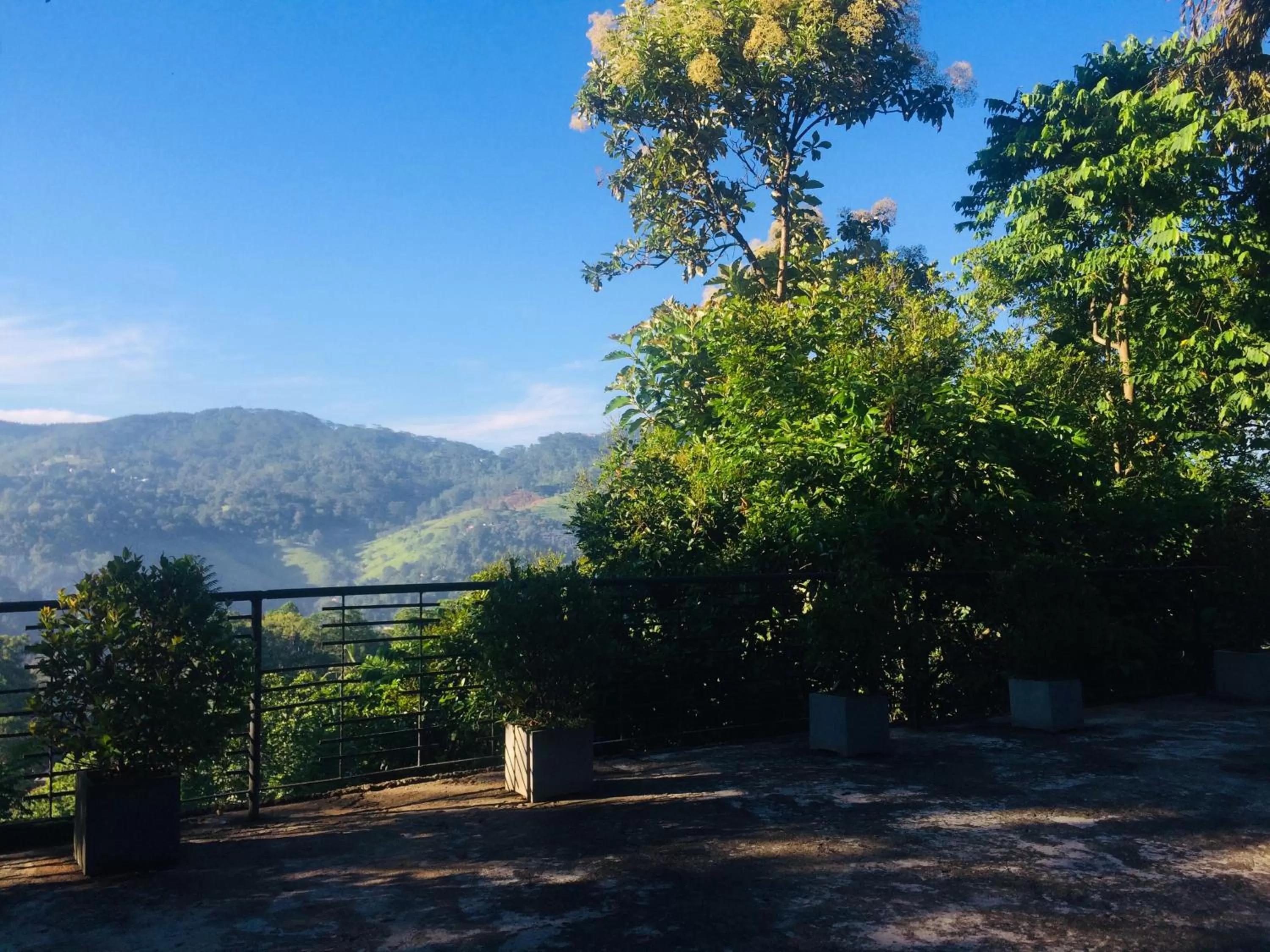 Mountain view in Selyna Sky Terrace