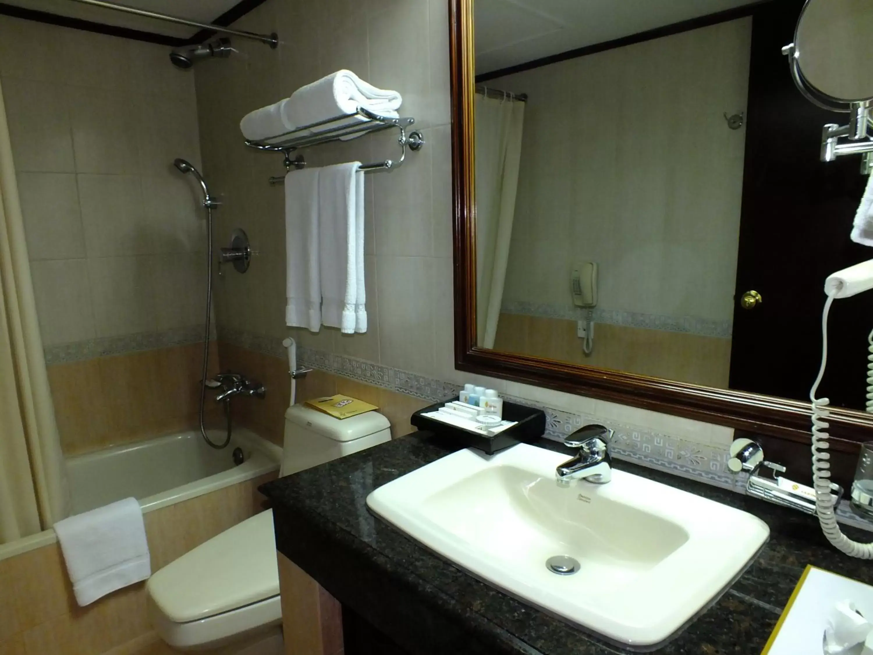 Shower, Bathroom in Hotel Sarina