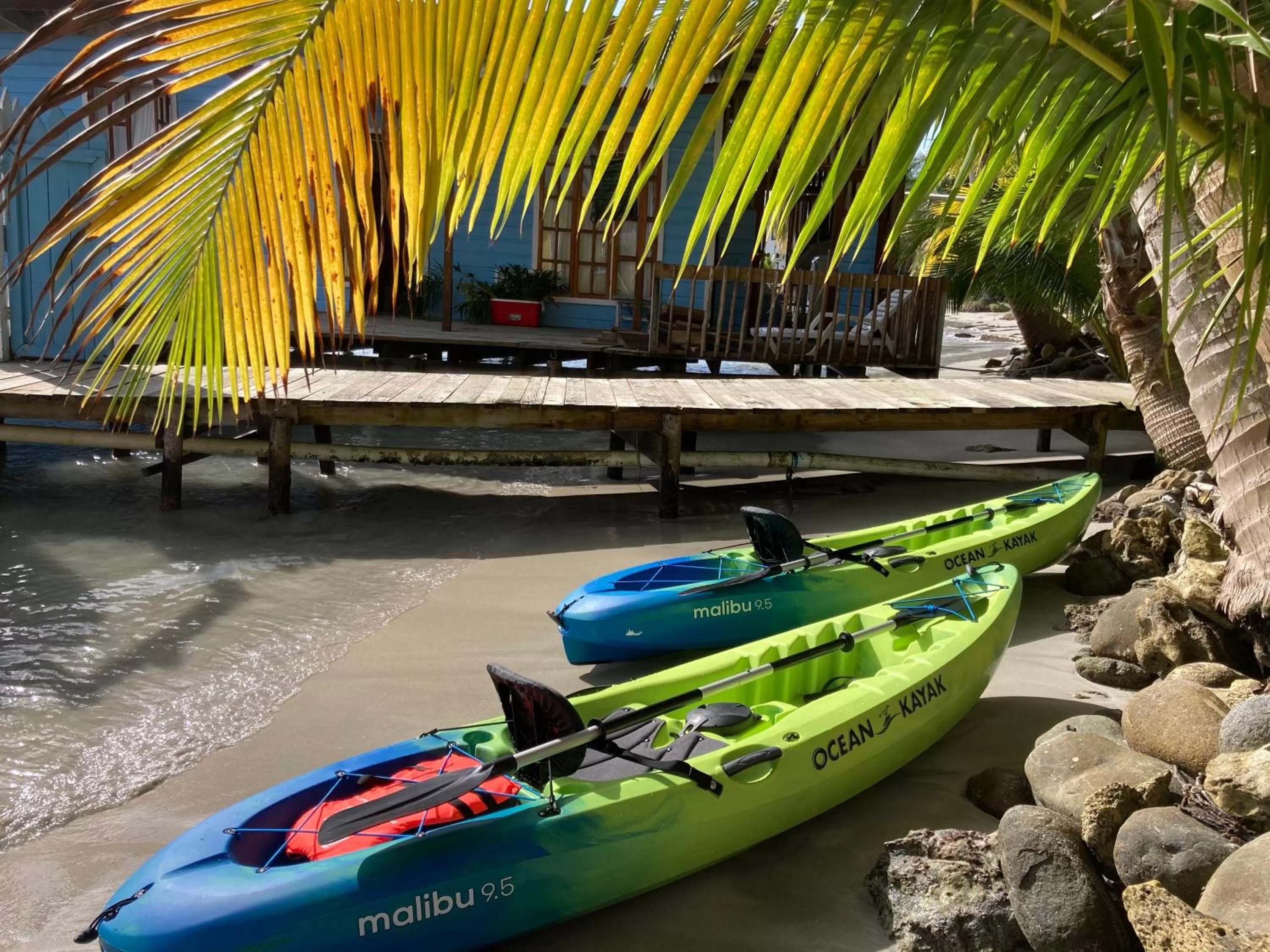 Activities in Casa Acuario Boutique Hotel