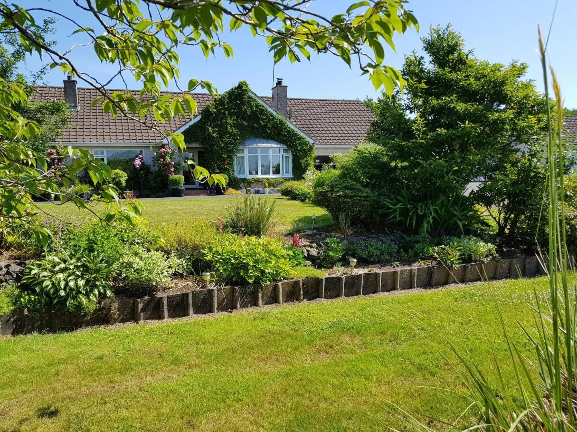 Meadow View B&B Meadow View B&B