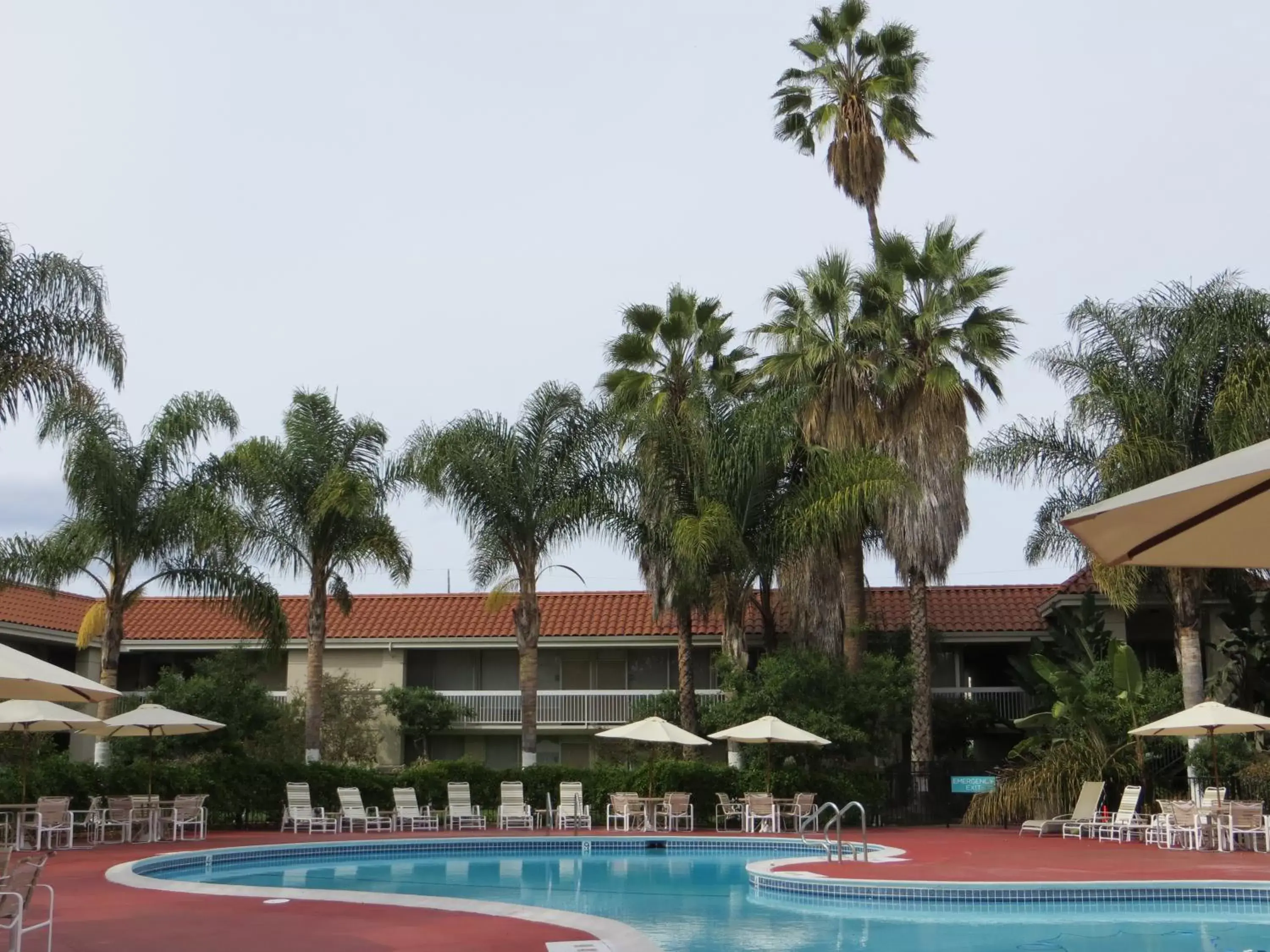 Swimming Pool in Wyndham Garden San Jose Airport