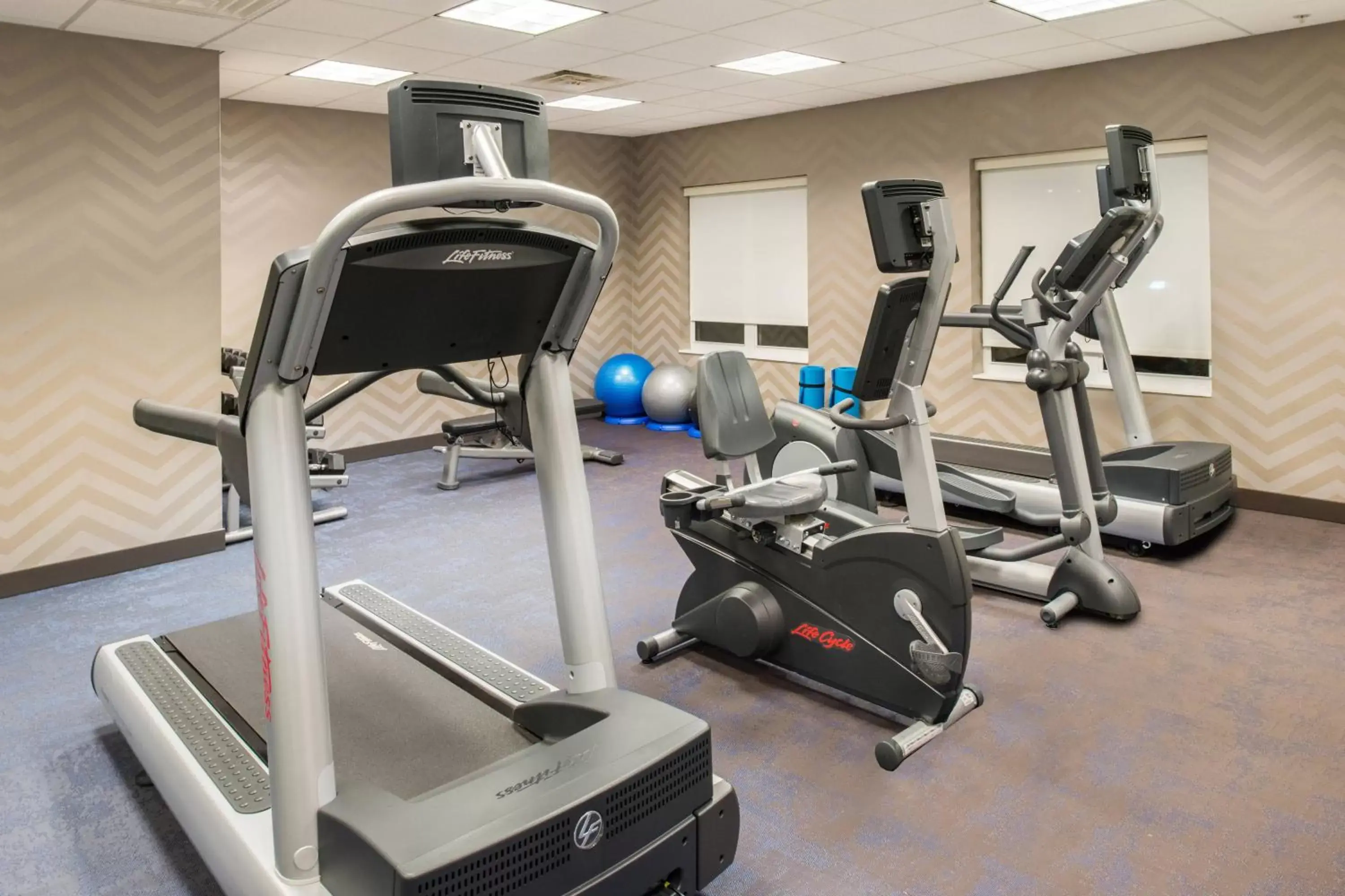 Fitness centre/facilities, Fitness Center/Facilities in Residence Inn by Marriott Harrisonburg