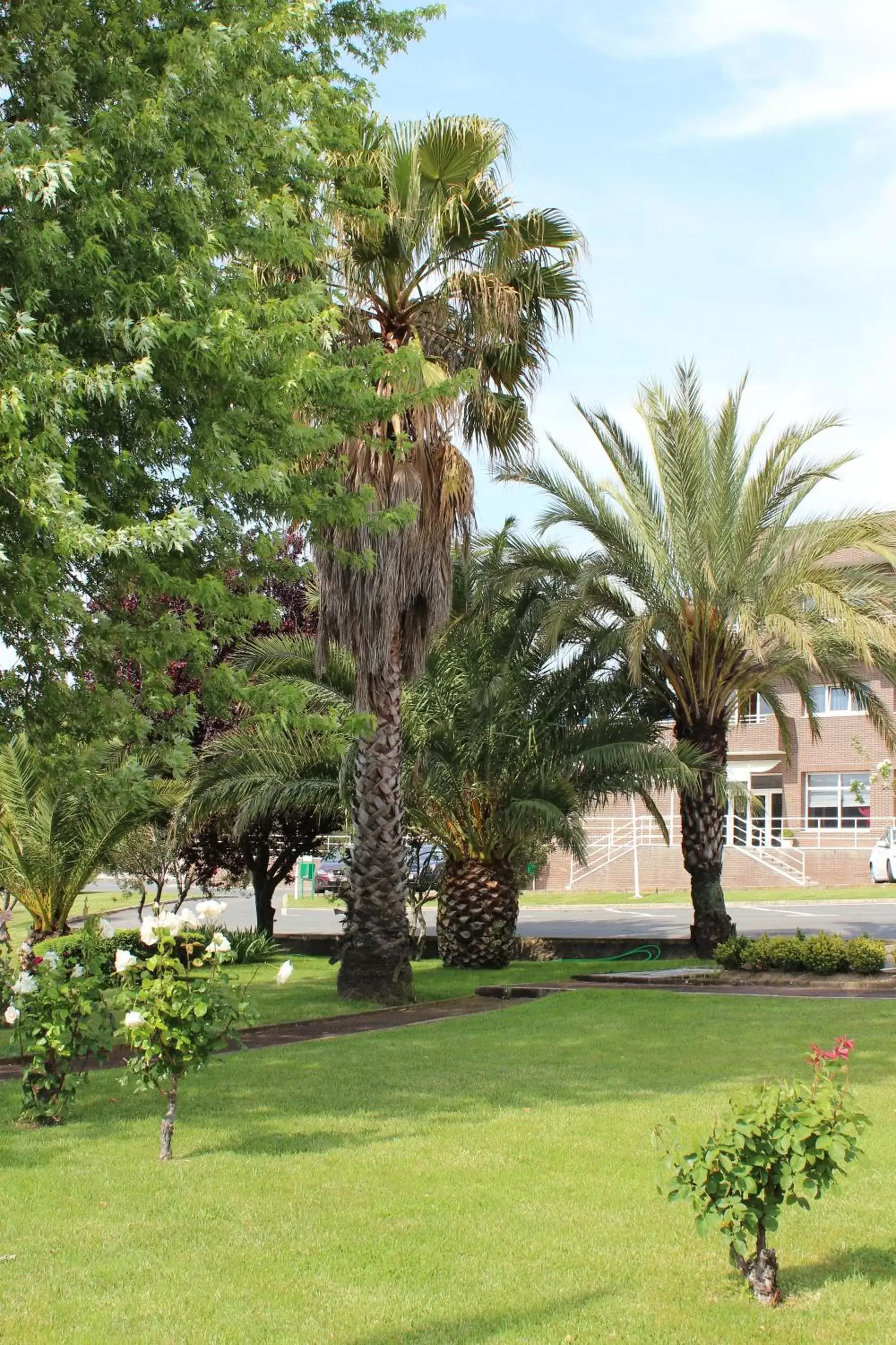 Garden in Hotel Azar