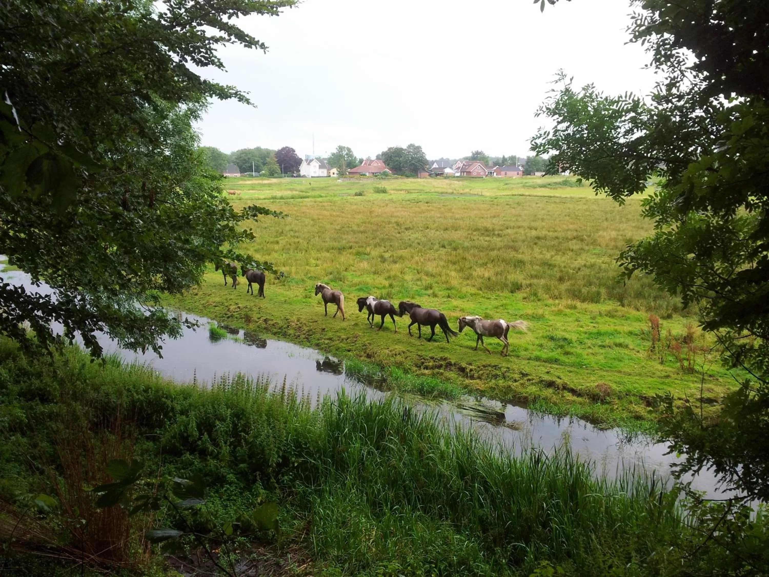 Natural landscape in Gørdinglund Herregård Bed & Breakfast