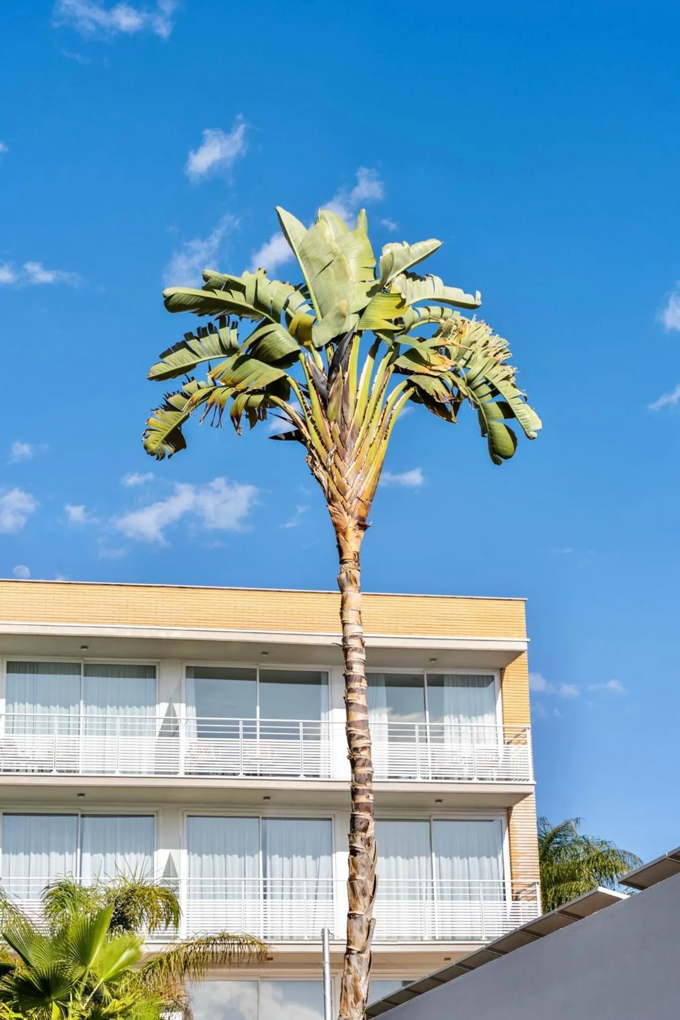 Day in Altafulla Mar Hotel