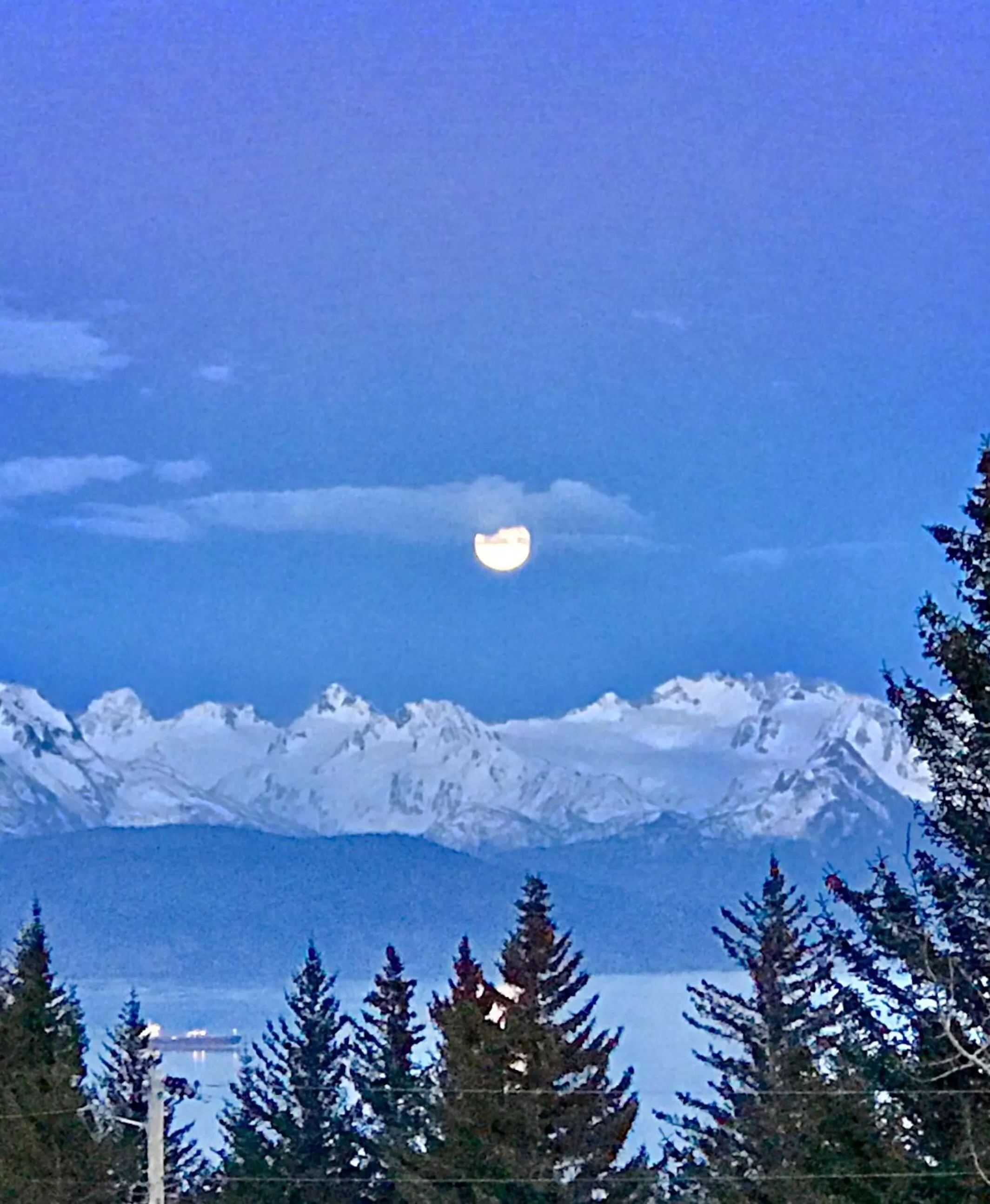 View (from property/room) in Halcyon Heights B&B/Inn