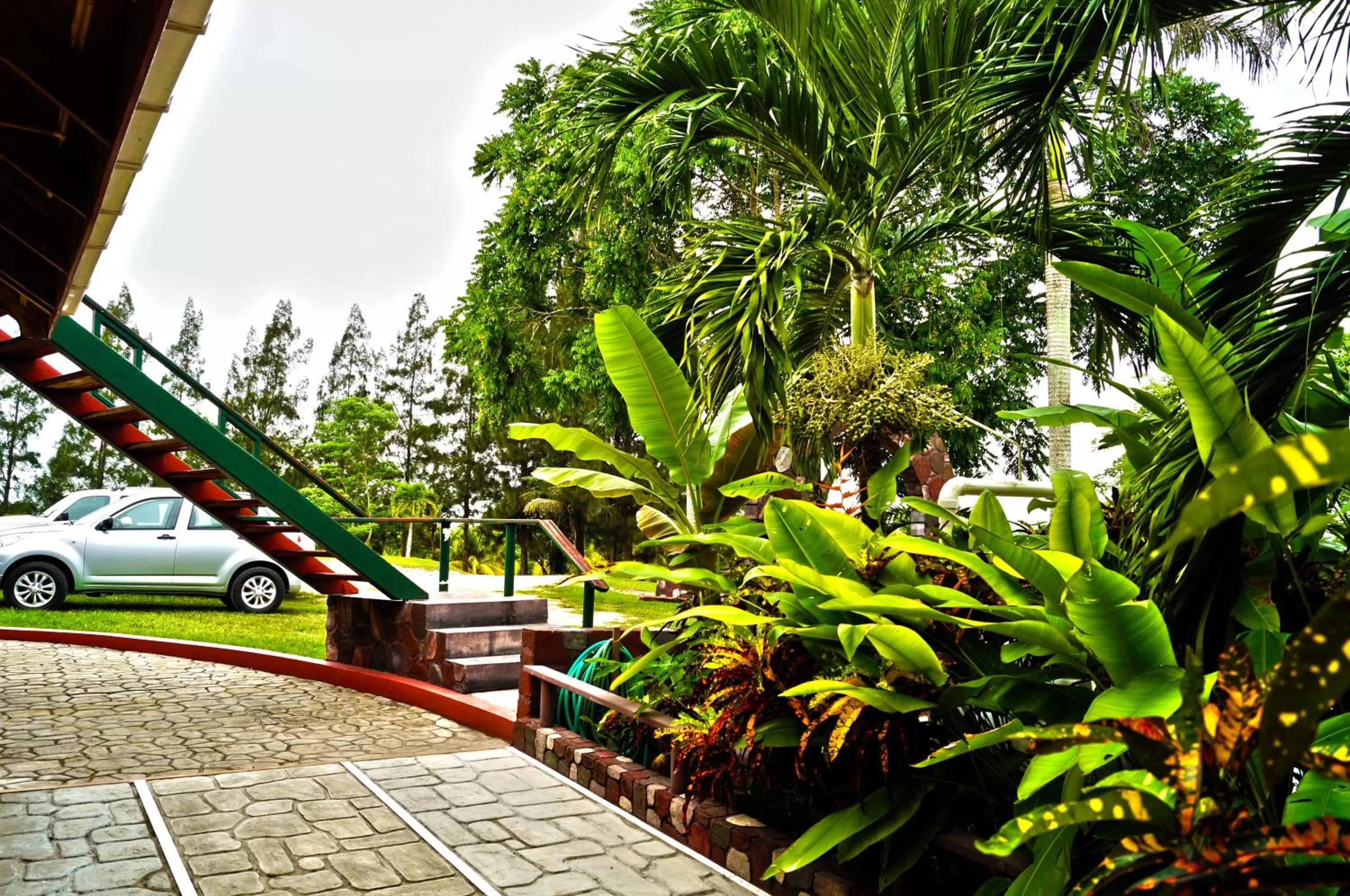 Natural landscape in Rumors Resort Hotel