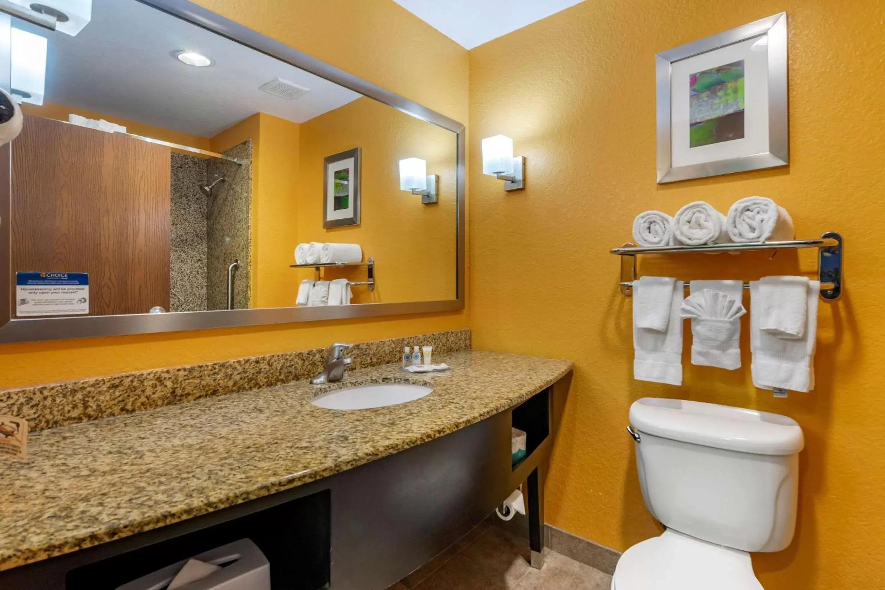 Bathroom in Comfort Suites Tampa Fairgrounds - Casino